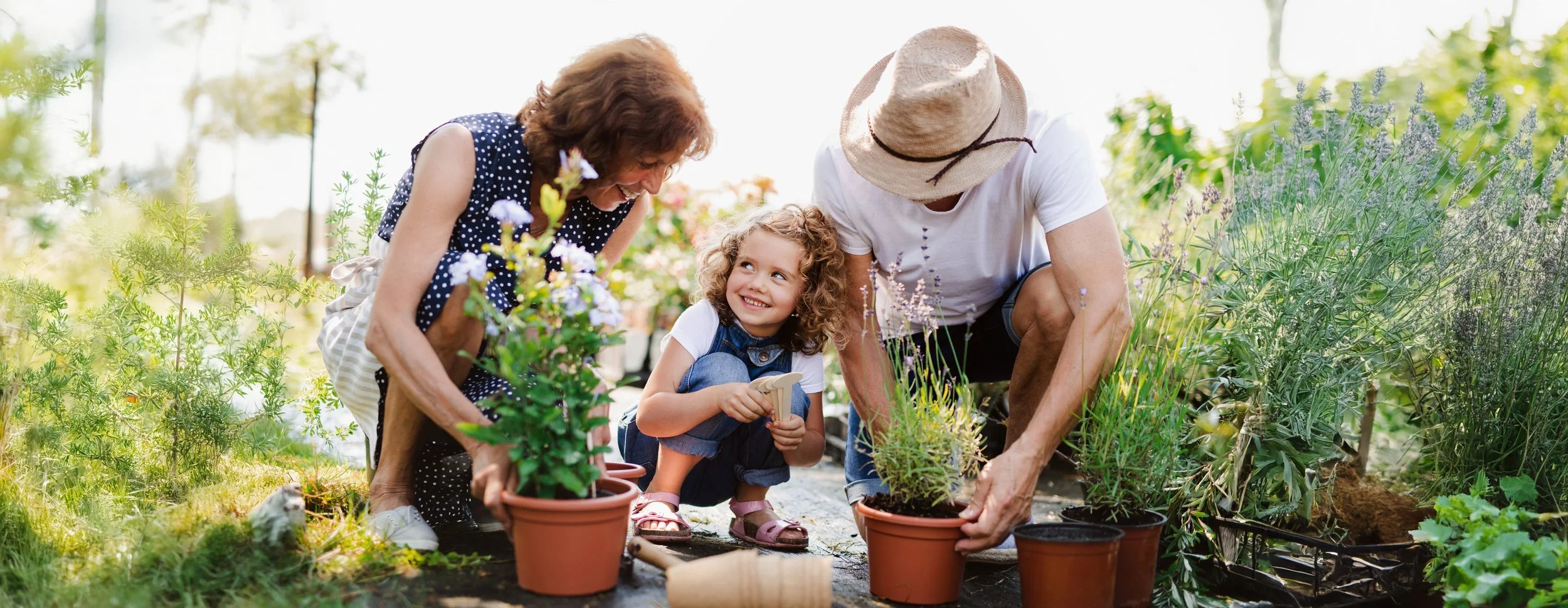 Generational Planning
