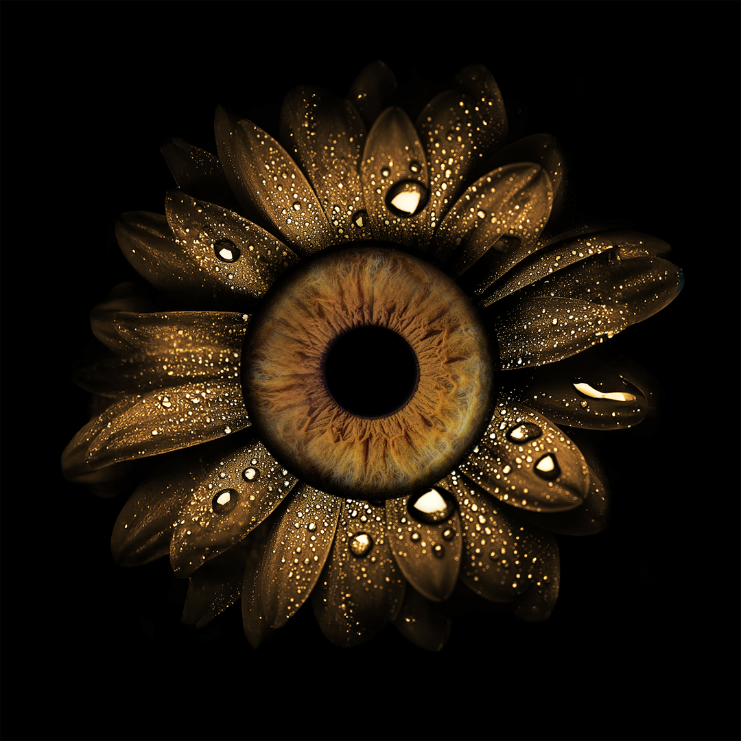 Close-up image of an eye with a sunflower petal design, water droplets on the petals, against a black background.
