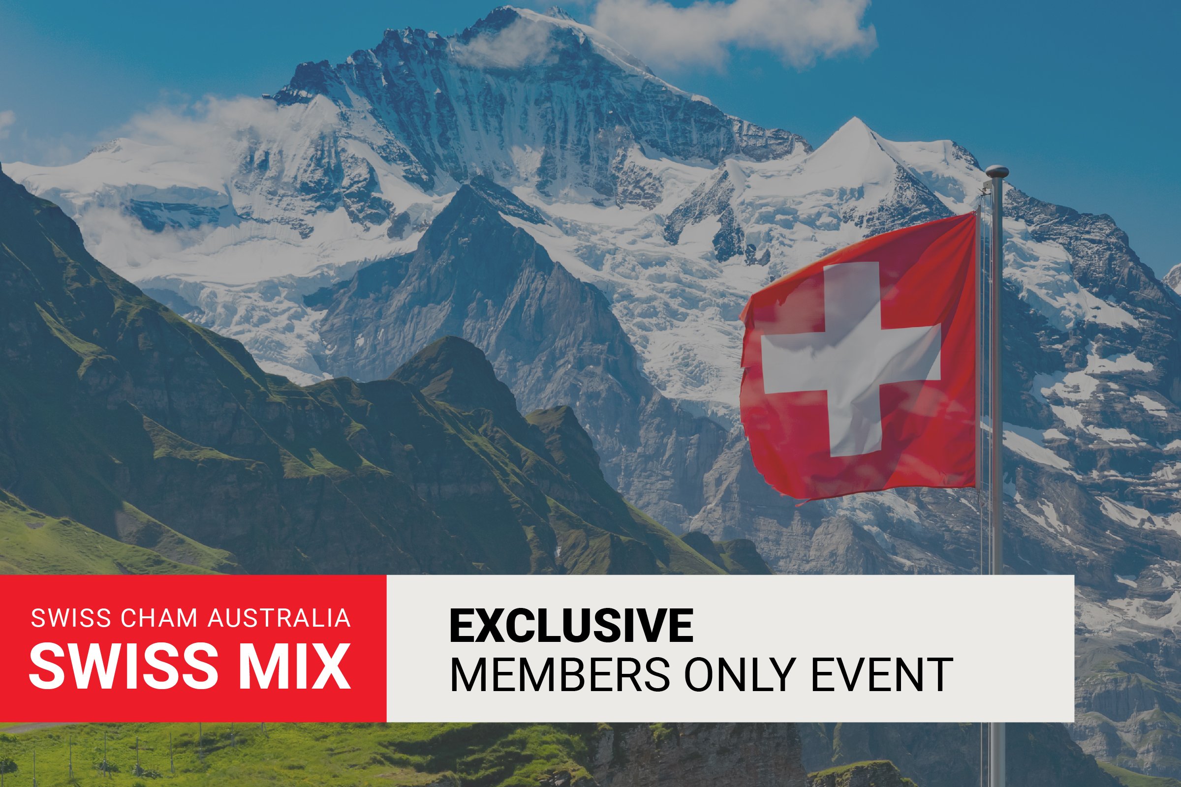 Swiss Mix at Hall and Wilcox