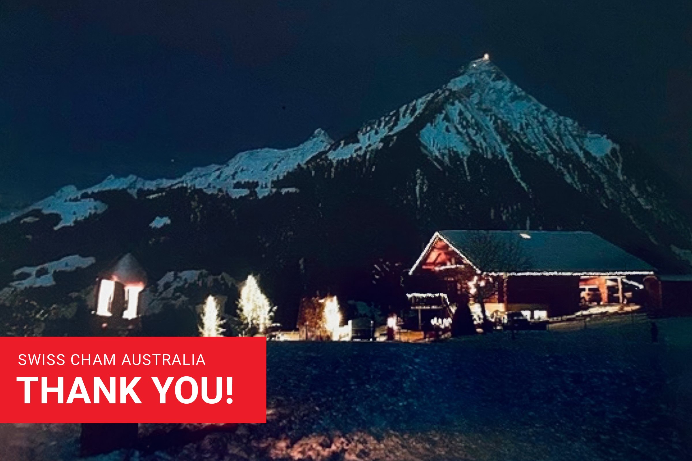 Thank you for your Support in 2025!