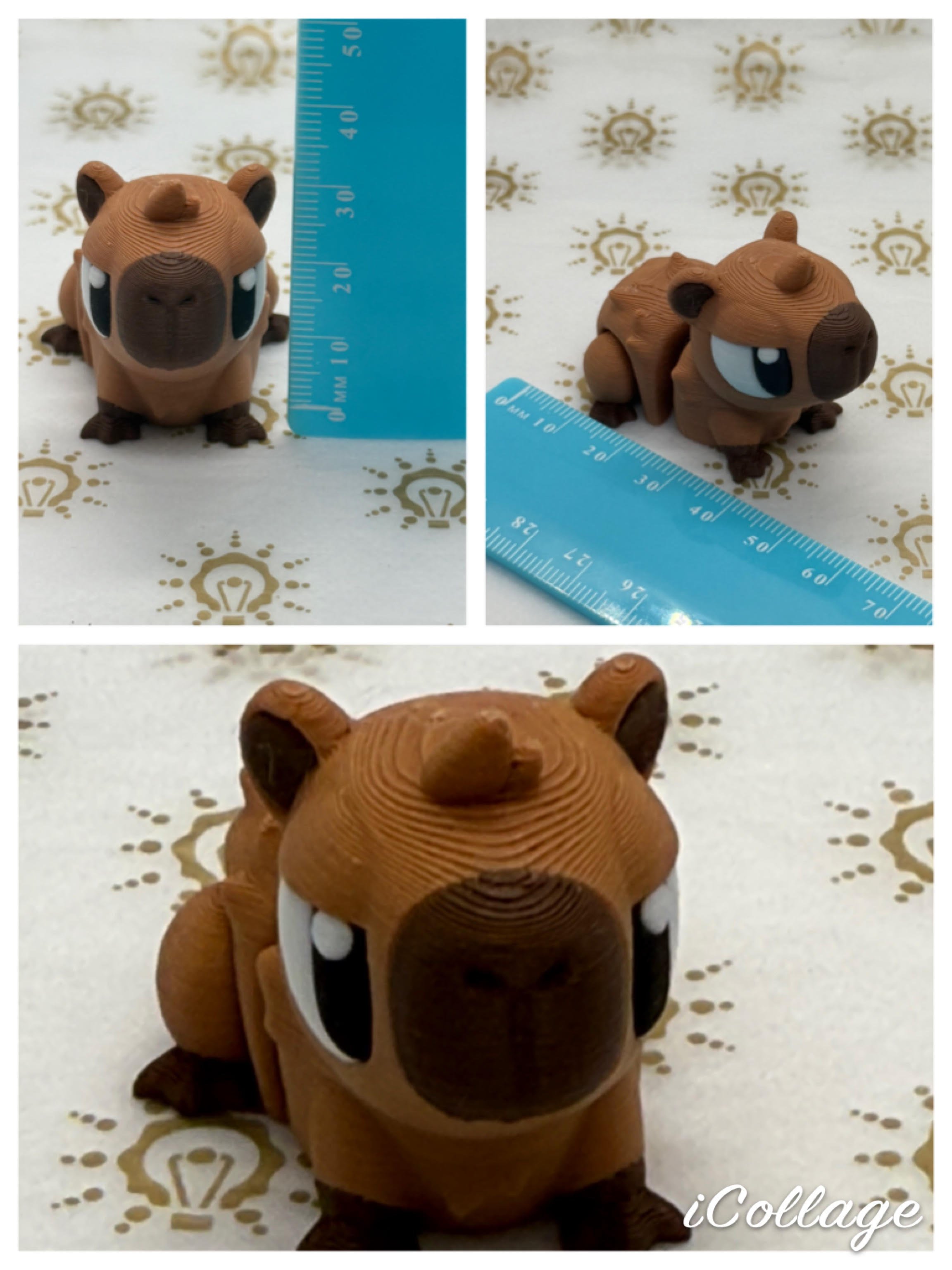 capybara.jpg