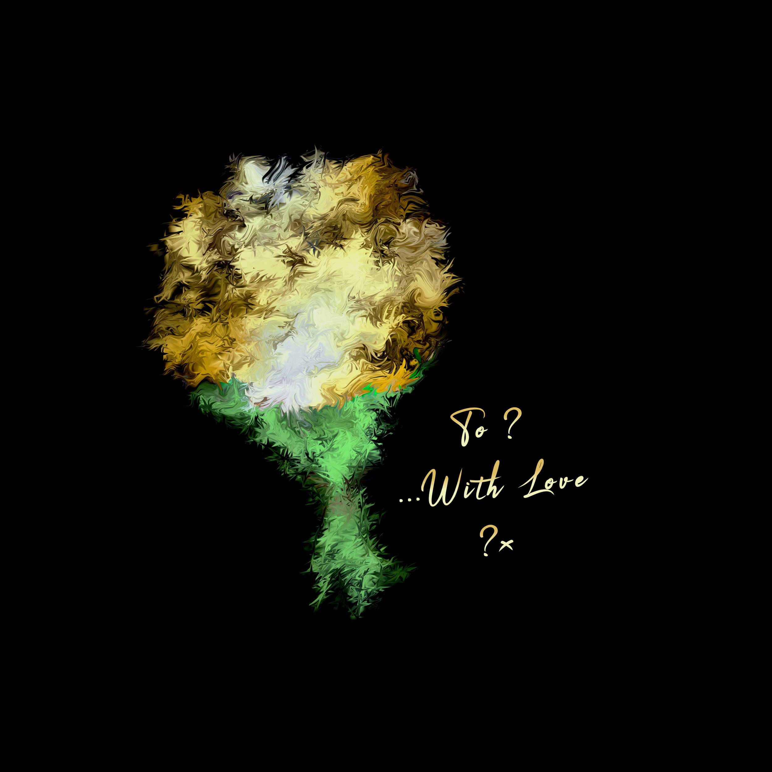 WLX-25-FD-DS-CO2-To-WL-x-S1-1.jpeg