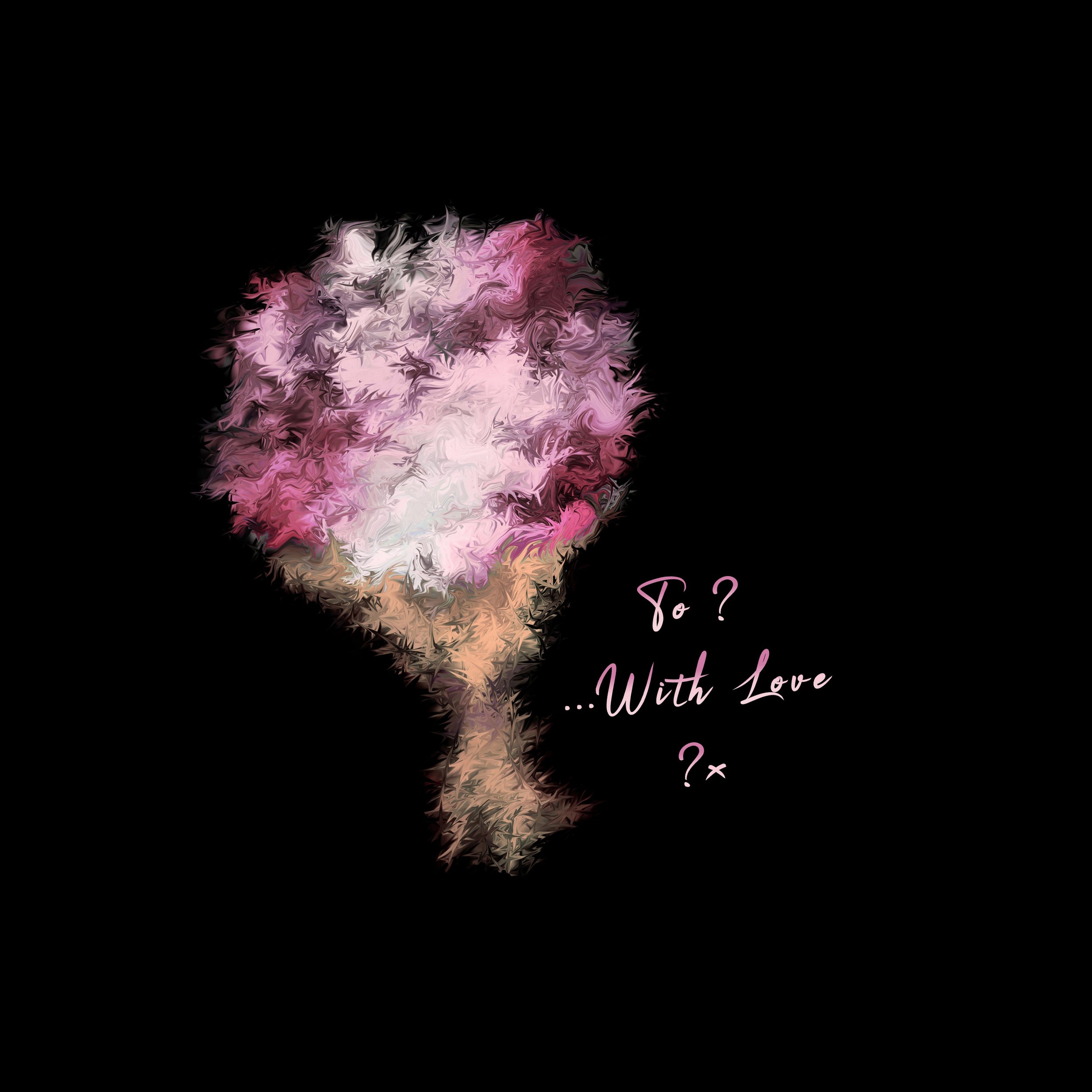 WLX-25-FD-DS-CO2-To-WL-x-S2-4.jpeg