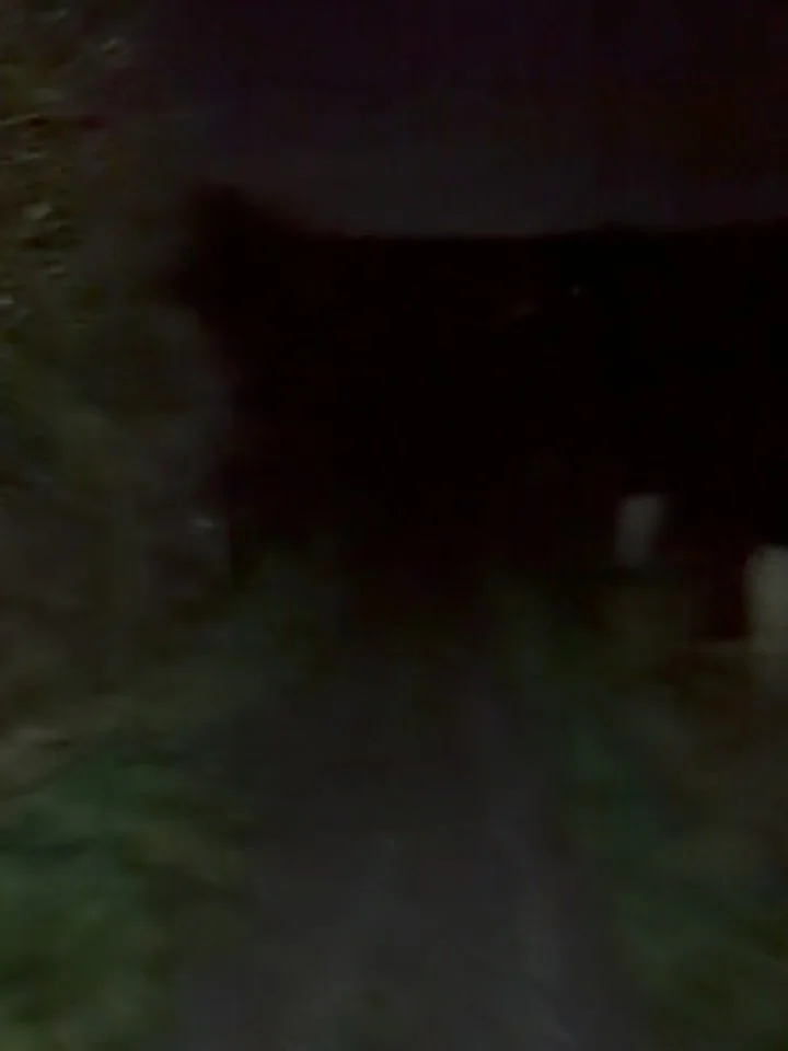 Here&rsquo;s what our mornings look like.
Taking it in turns and getting it done while the rest of the house sleeps.
🌙🏃&zwj;♂️ + 🏋️&zwj;♀️

Built before breakfast 🥞 

#CoachedFITT #StrengthTraining #GymLife #TrailRunning #LegDay