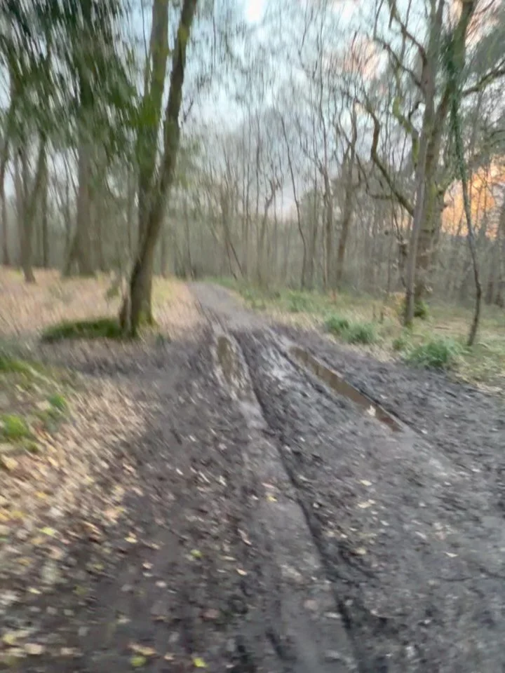 There&rsquo;s just something special about trail running 🌿

The ground is always changing. Mud, rocks, roots, hills. Which means your body is constantly adapting. It challenges your balance, coordination and proprioception, keeping both your body an