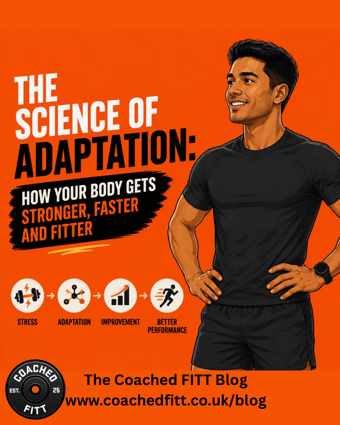 The Science of Adaptation: How Your Body Gets Stronger, Faster and Fitter