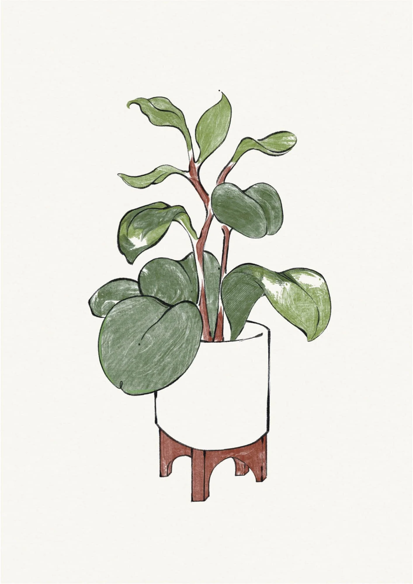 Potted Plant