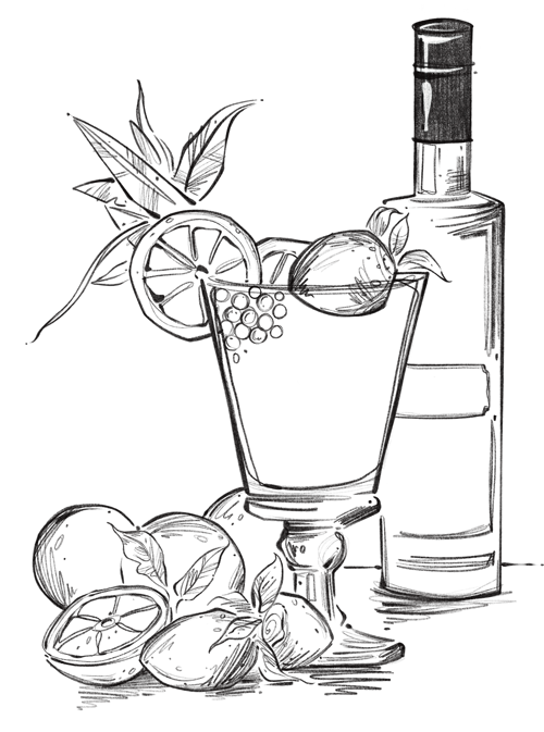 Drawing of cocktail illustration