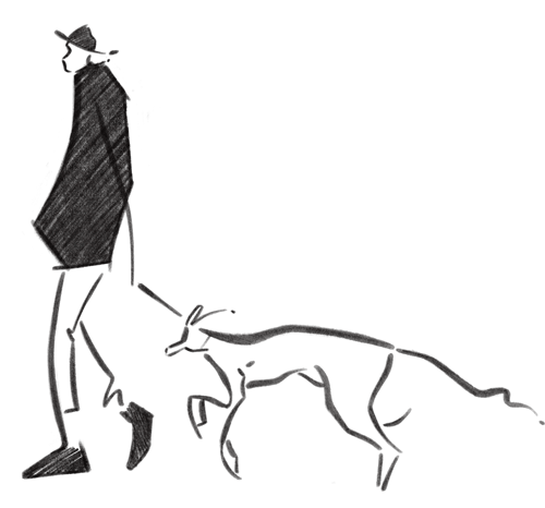 custom illustrator of man walking dog