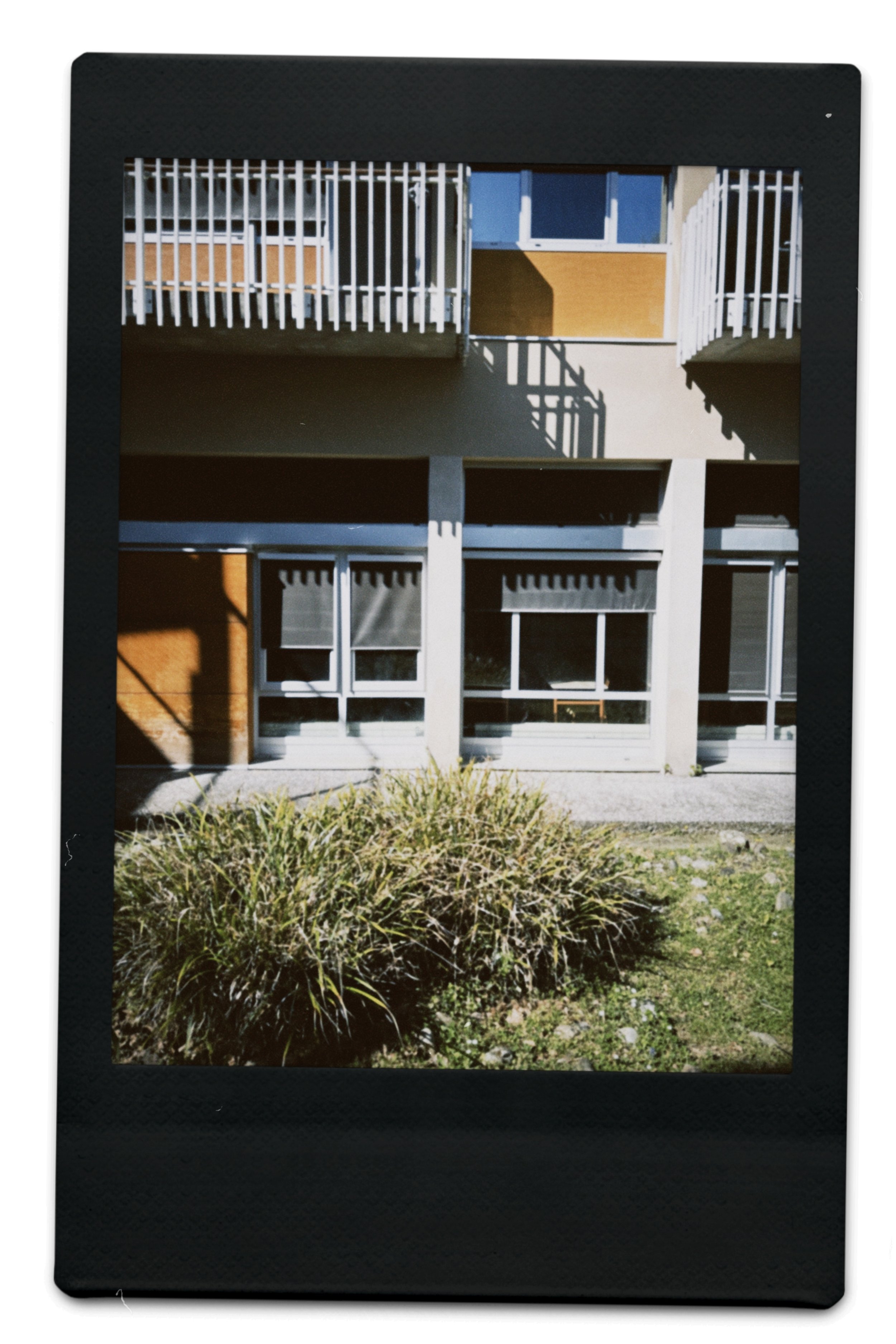 instc 2025-04-08 162905.209.jpeg