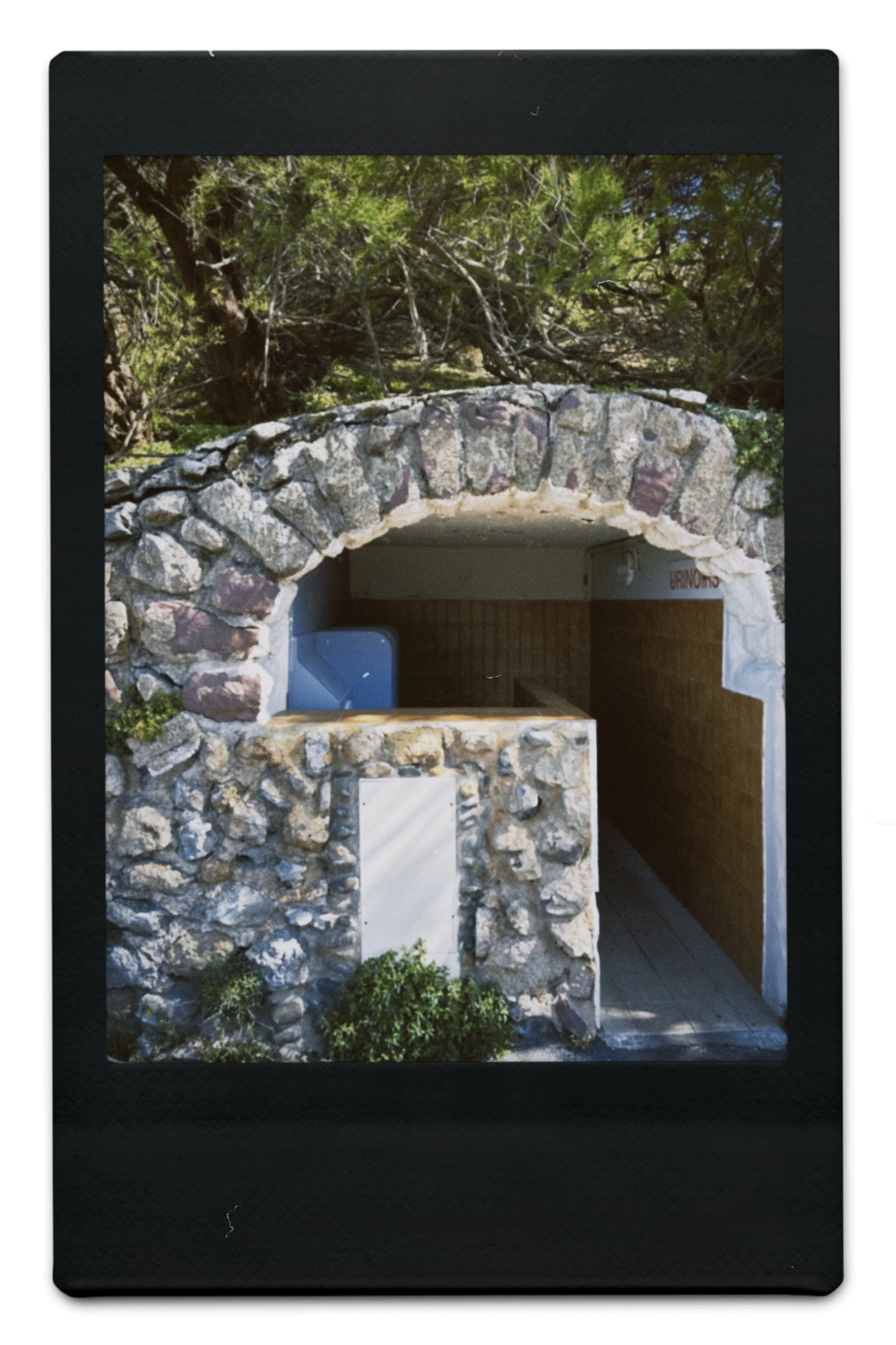 instc 2025-04-08 121137.514.jpeg