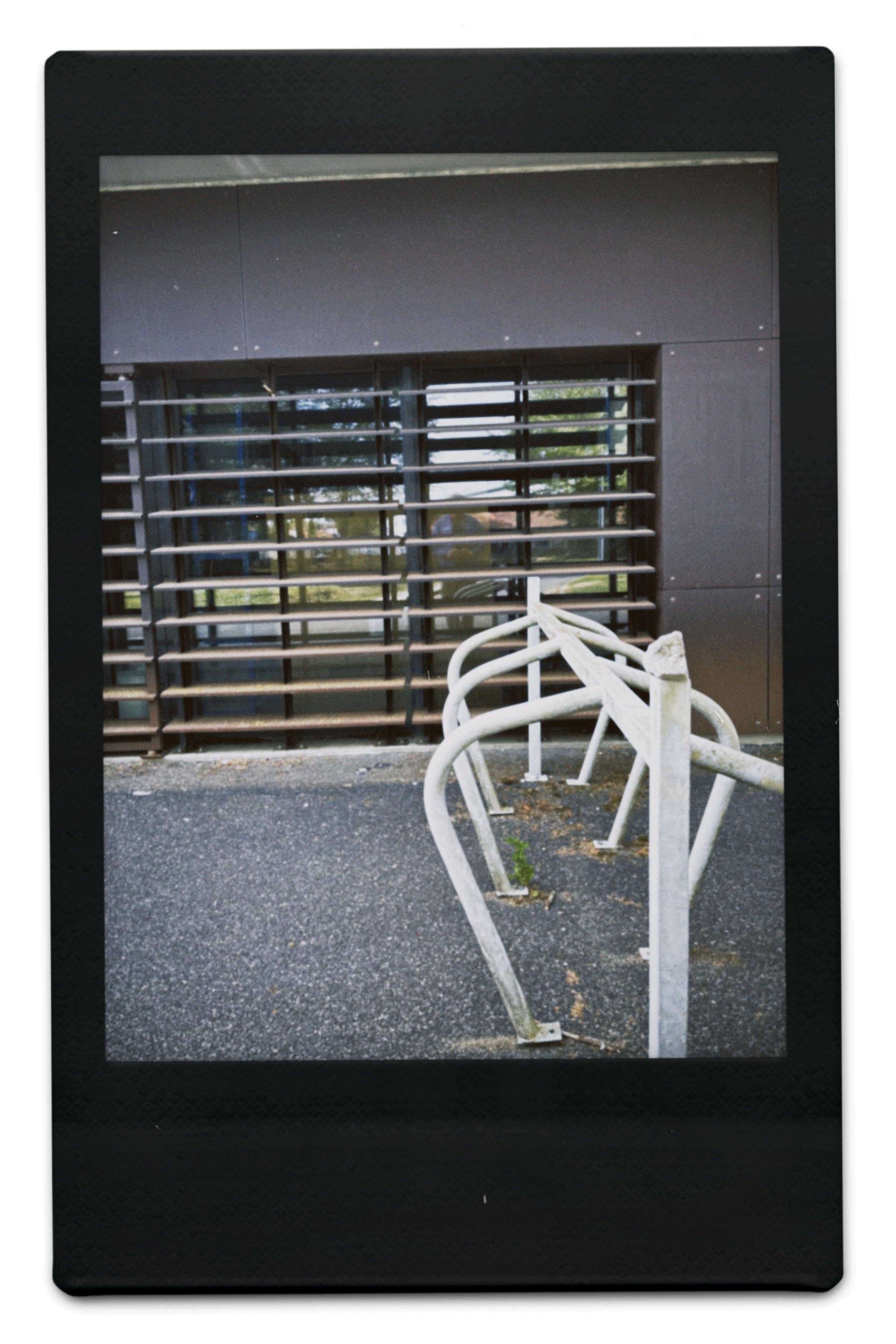 instc 2025-04-06 151836.197.jpeg