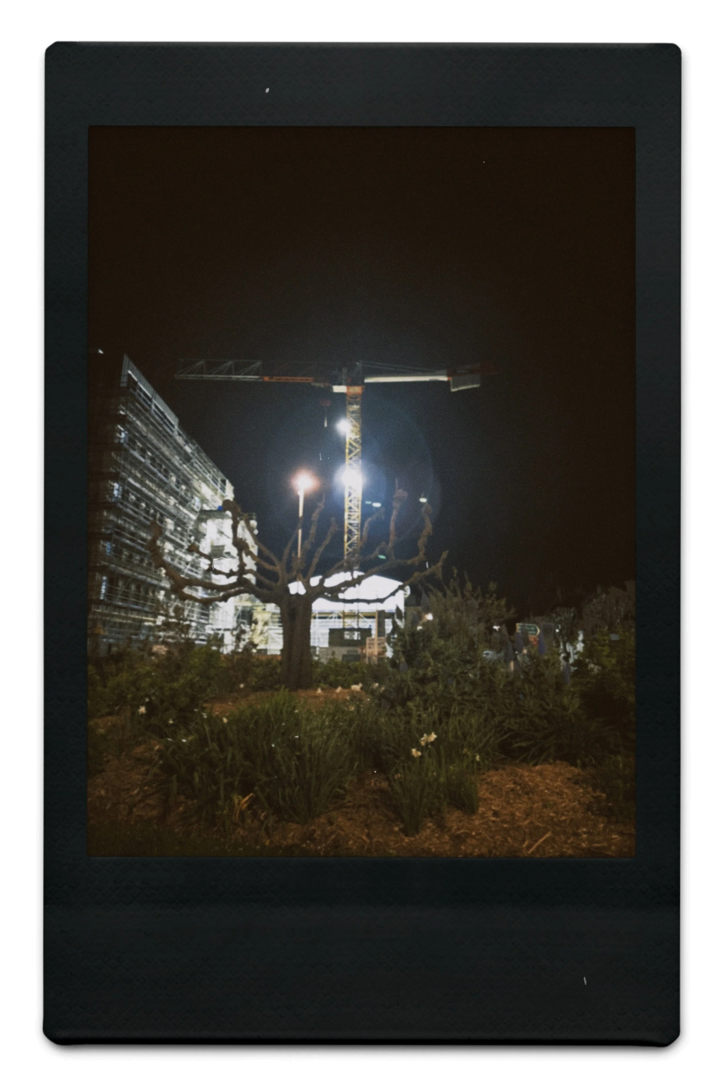 instc 2025-04-06 233336.483.jpeg