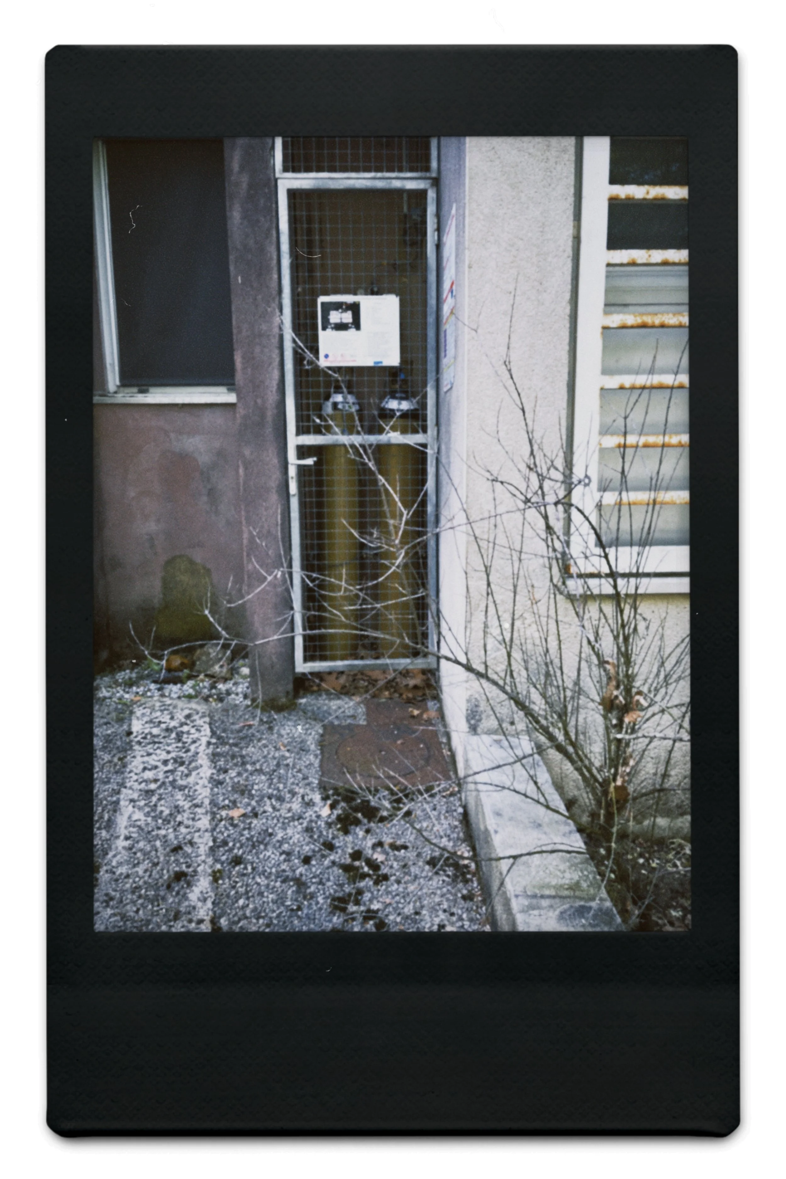 instc 2025-04-06 151658.310.jpeg