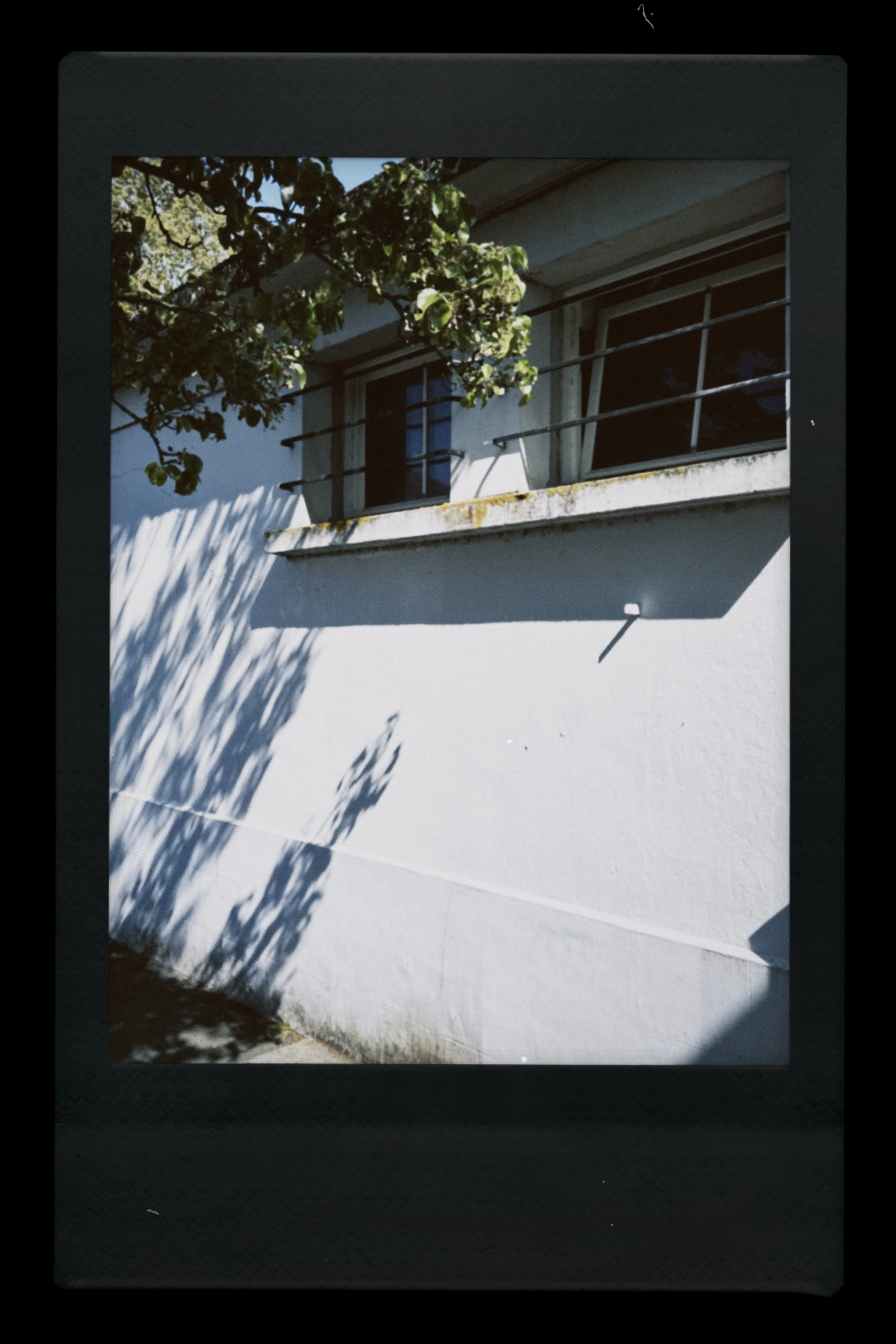 instc 2025-04-10 161433.902.jpeg