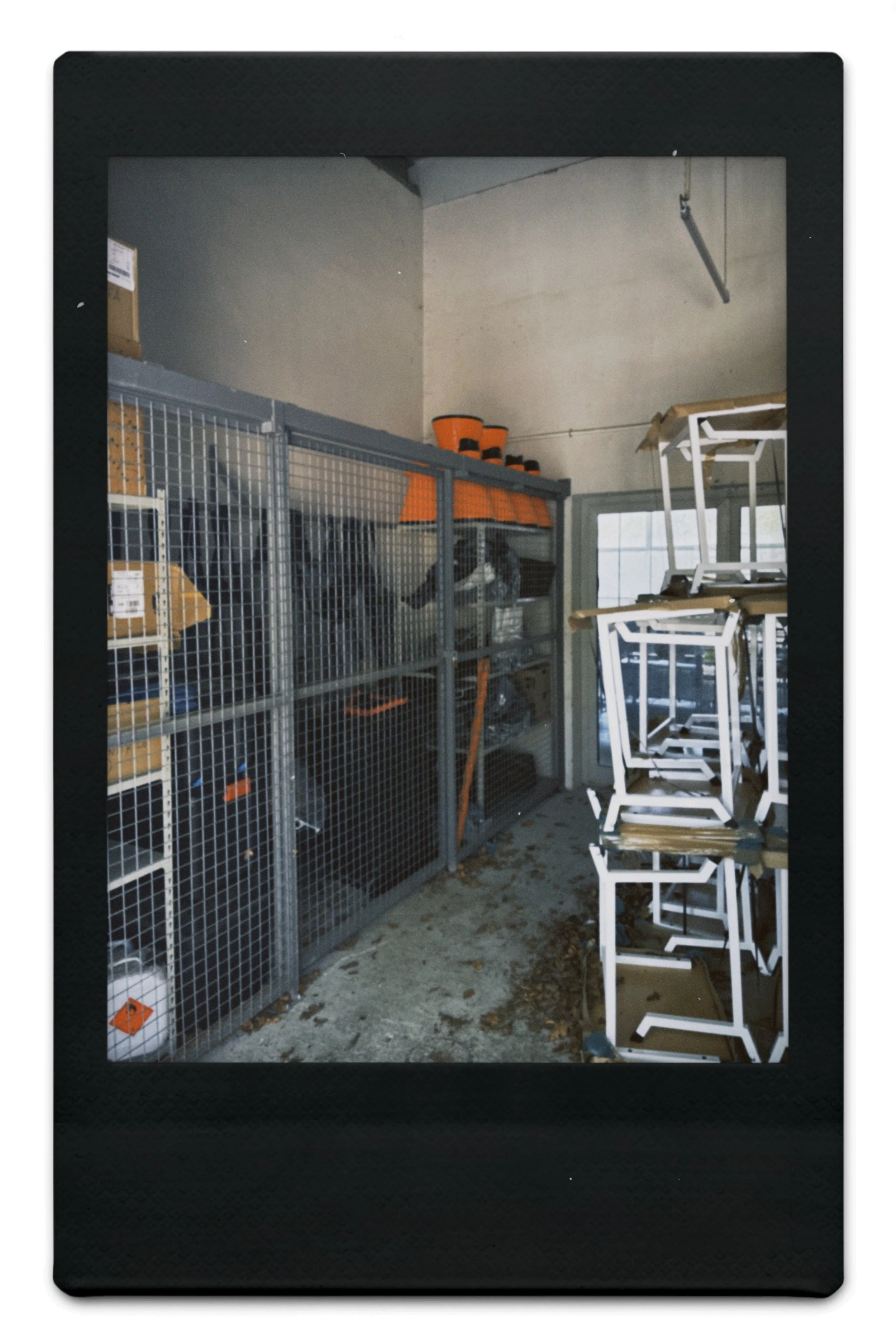 instc 2025-04-06 151555.708.jpeg