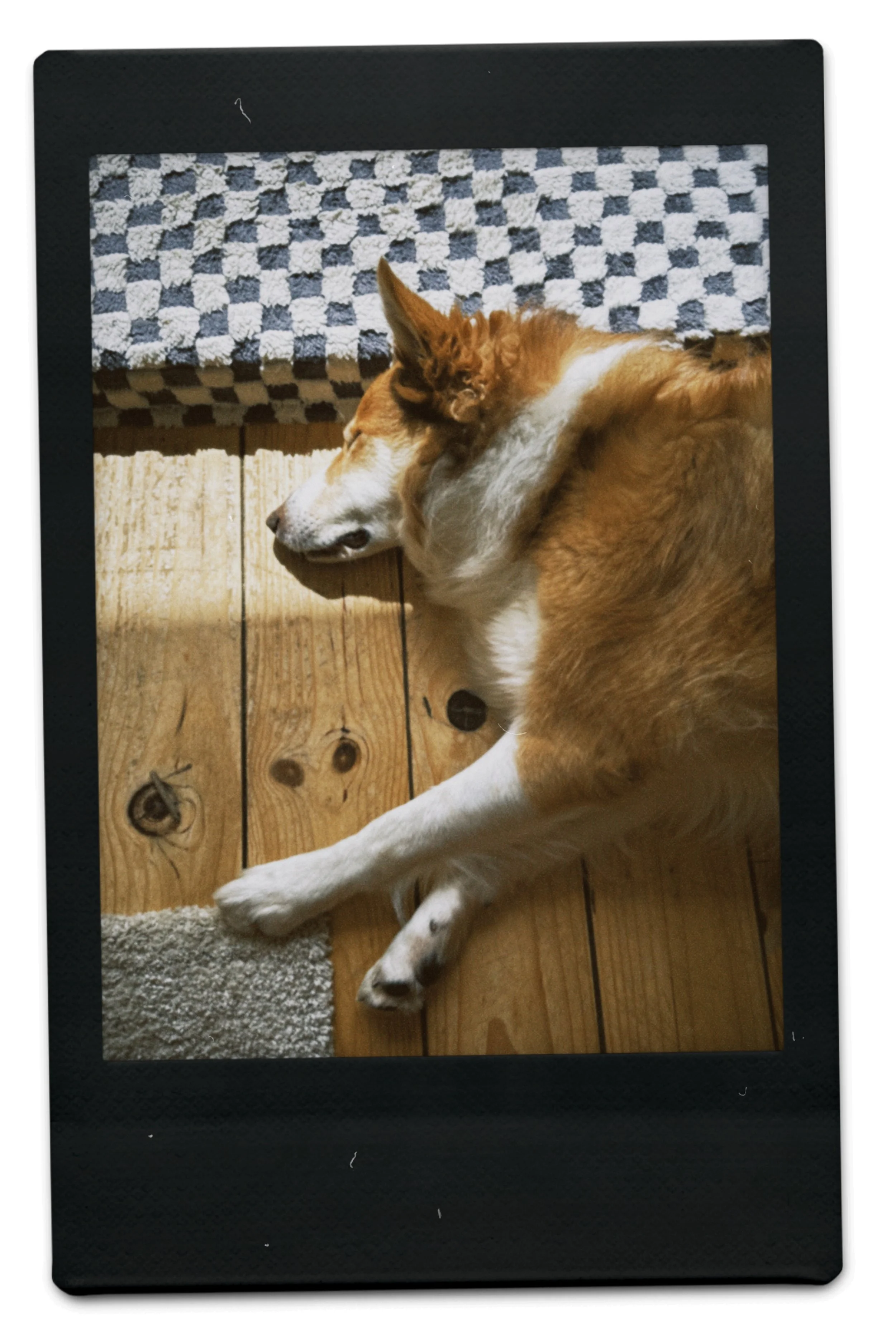 instc 2025-04-06 133635.245.jpeg