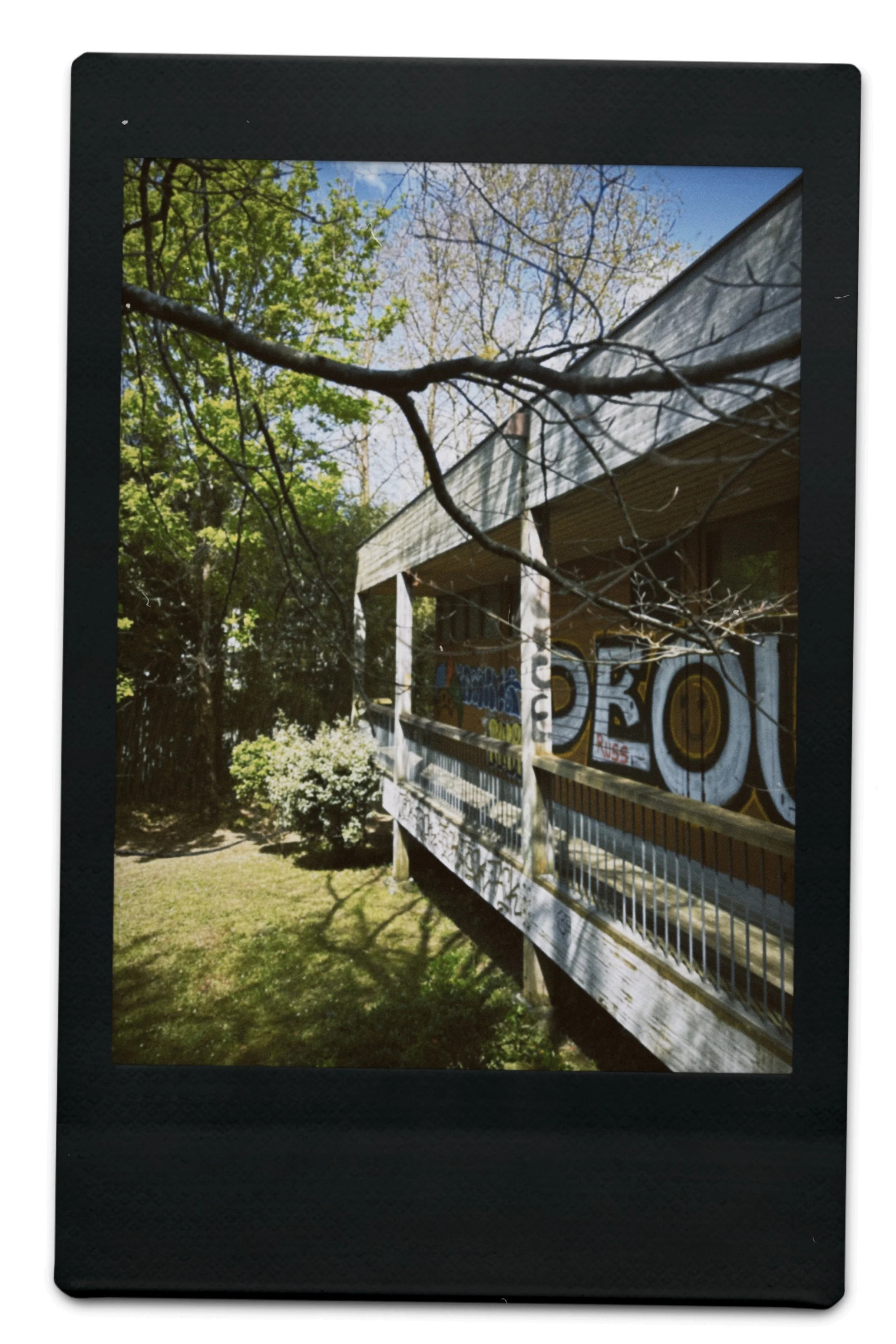 instc 2025-04-06 150907.236.jpeg