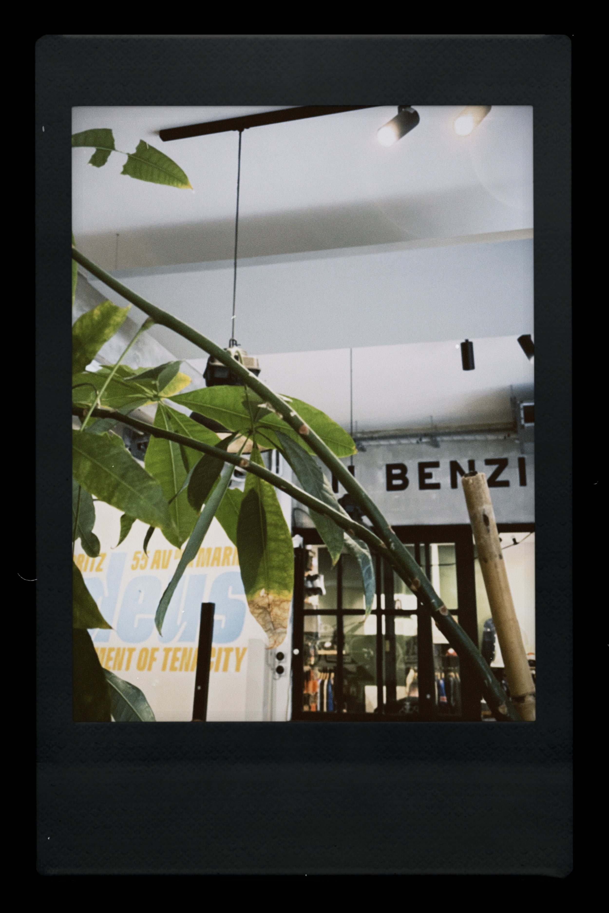 instc 2025-04-13 131955.686.jpeg