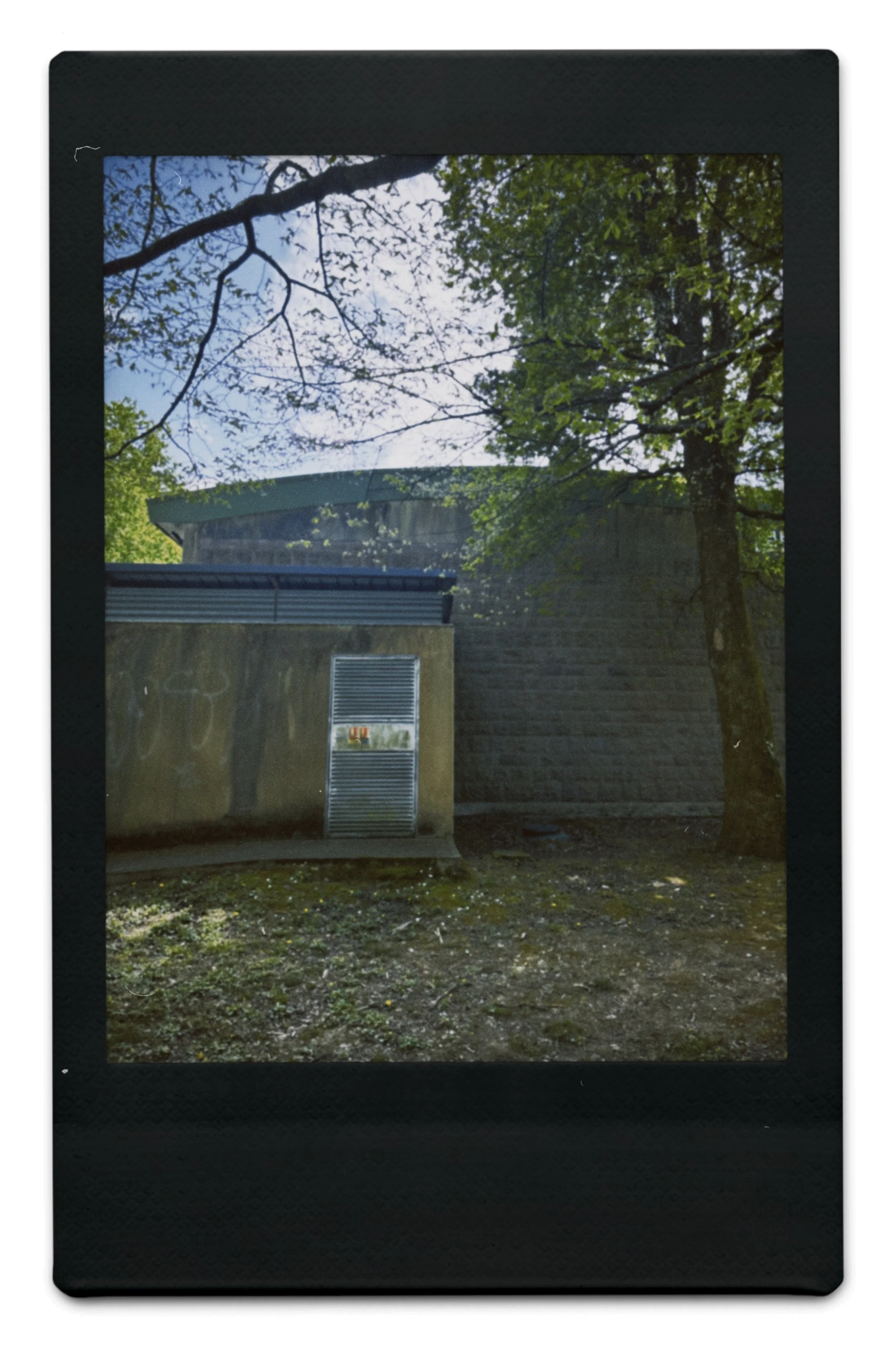 instc 2025-04-06 151440.678.jpeg