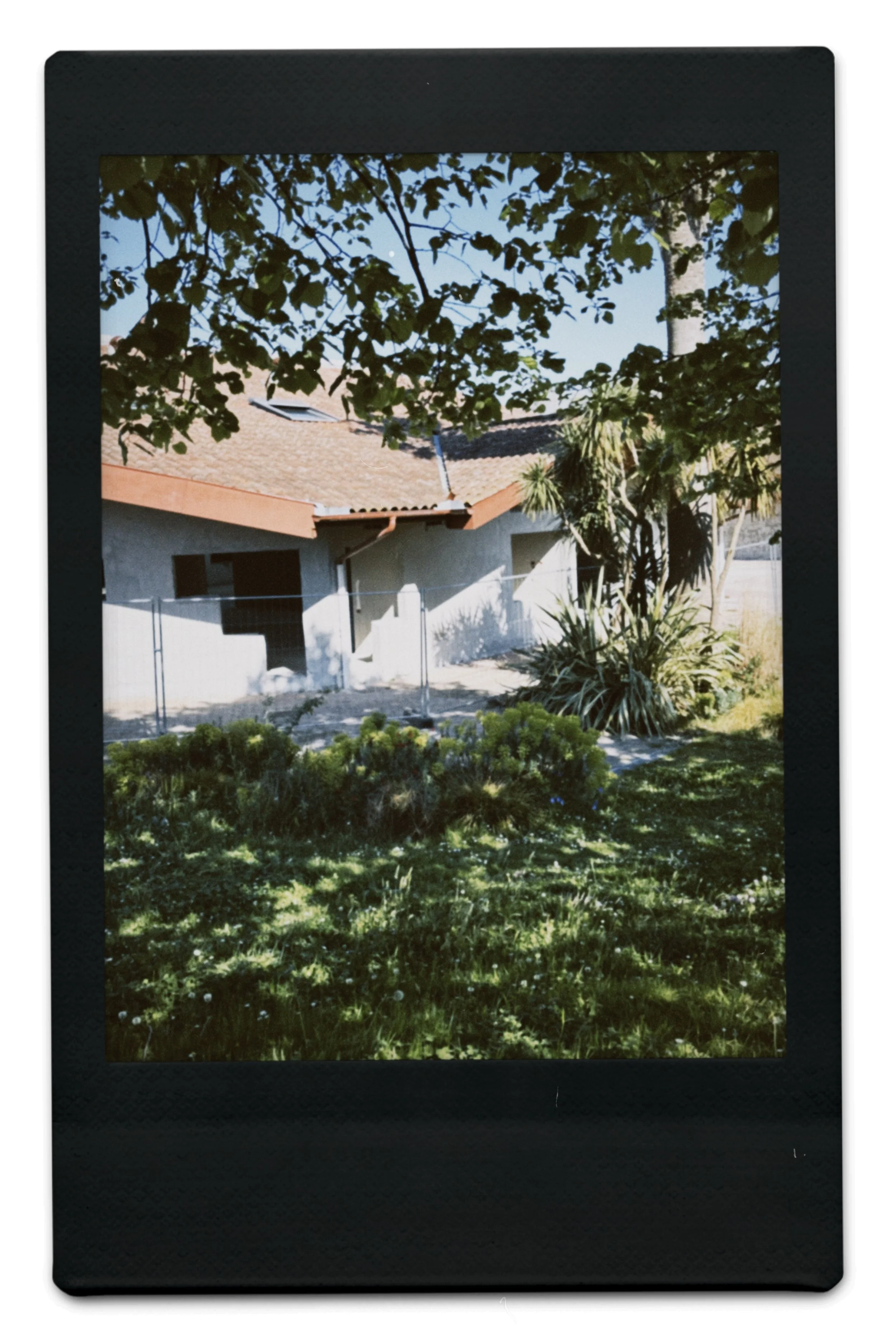 instc 2025-04-08 165524.592.jpeg