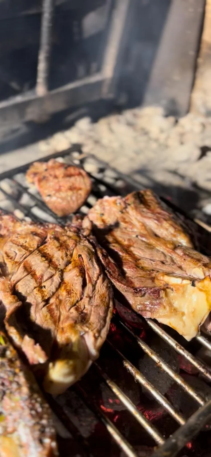 WhatsApp Image 2025-11-22 at 10.17.37 (5).jpeg