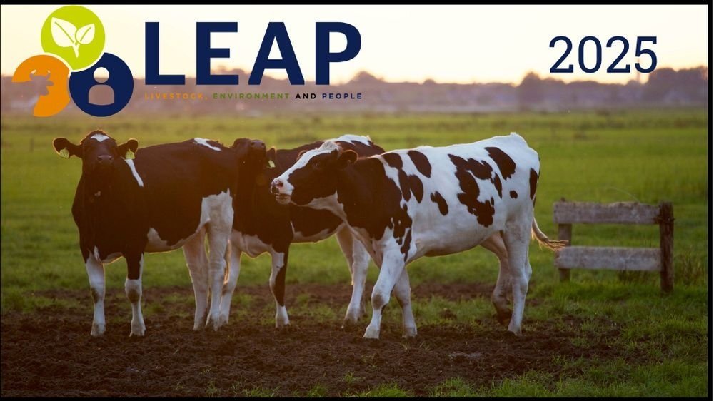 LEAP 2025