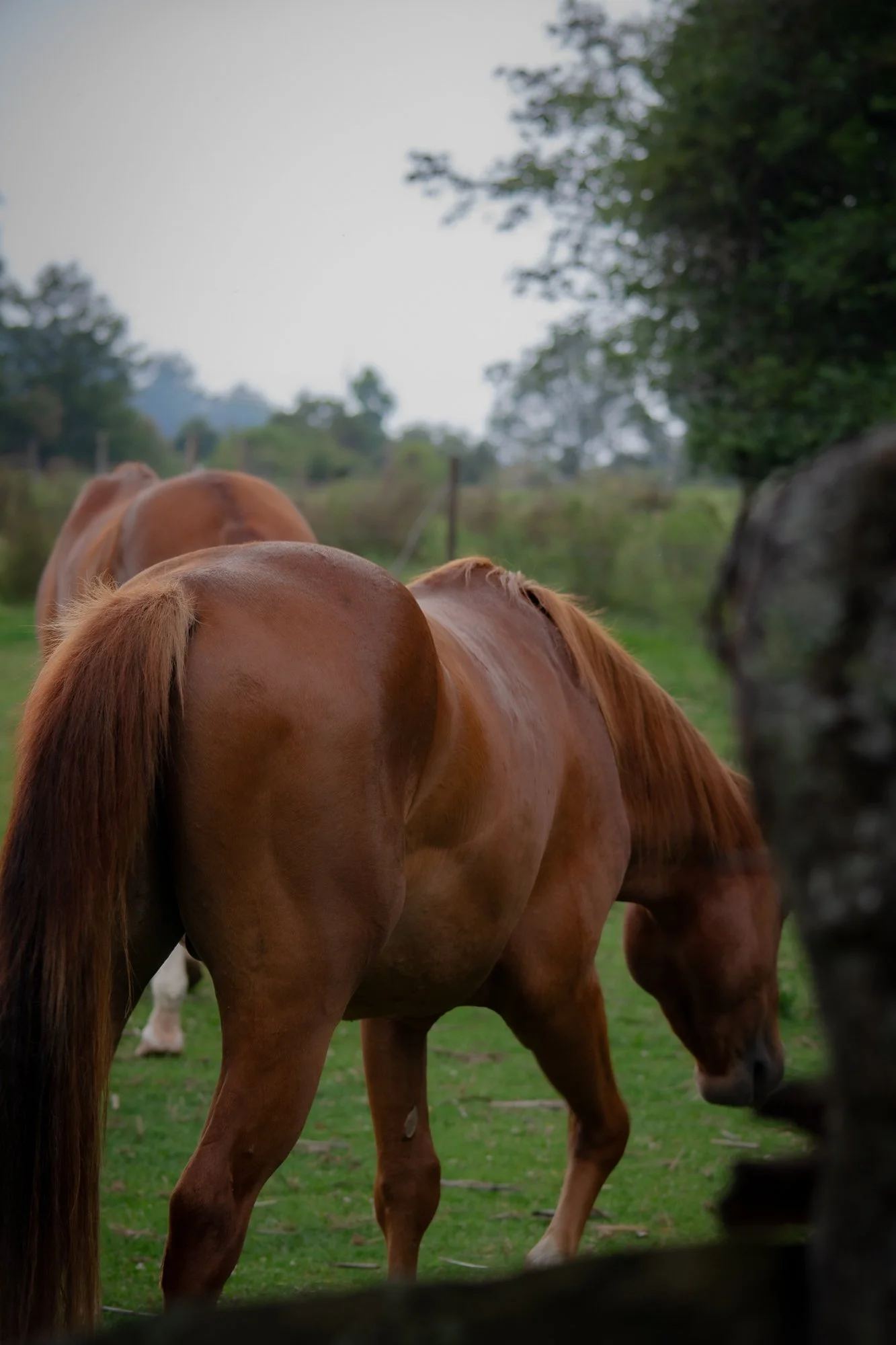 ranch-13.jpg
