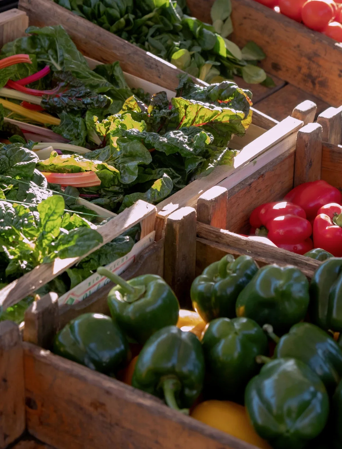Wooden crates at a market overflow with rainbow chard, green peppers and bright red tomatoes.
