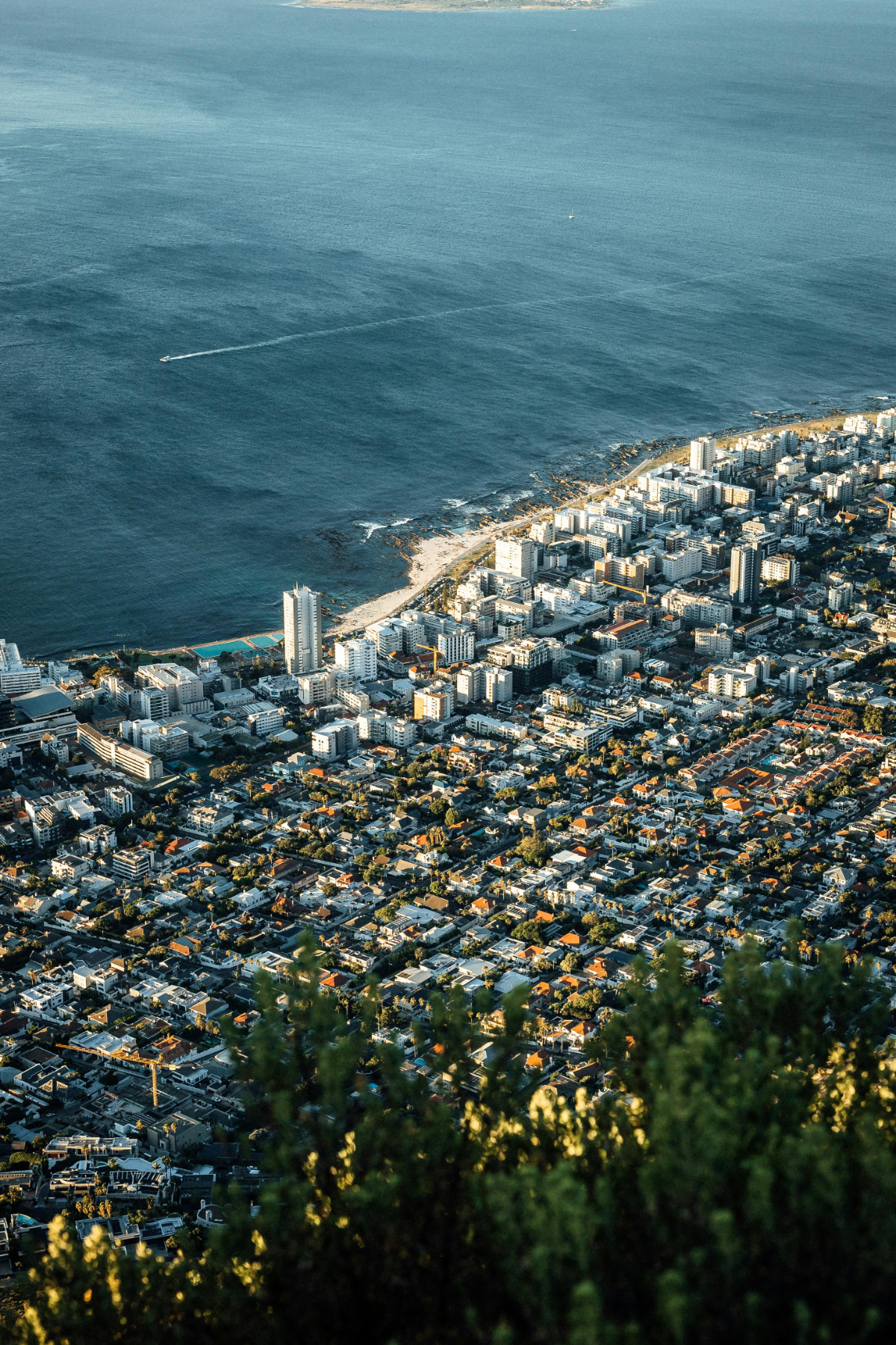 The Ultimate Guide: What to Do In Cape Town