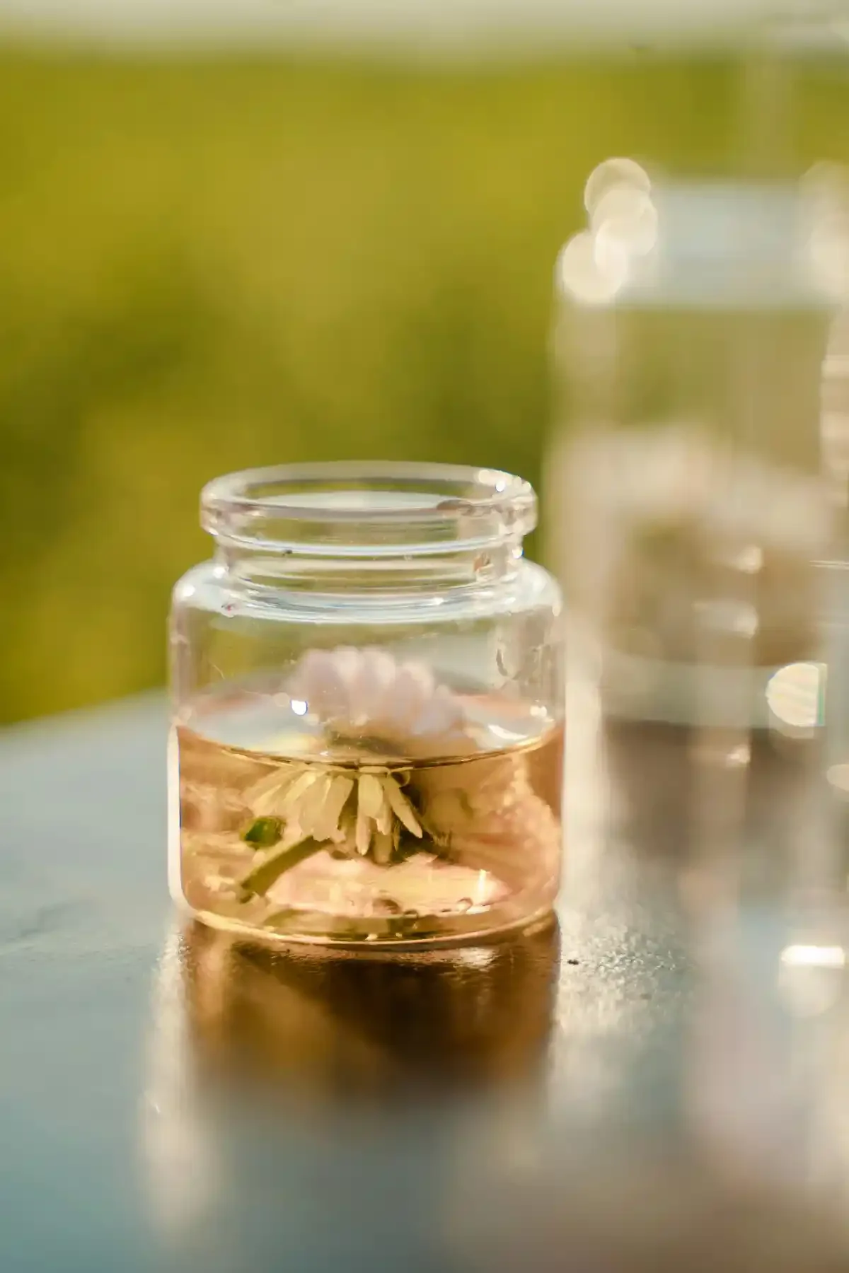 Small clear jar containing a single white blossom steeping in light pink botanical tonic outdoors.
