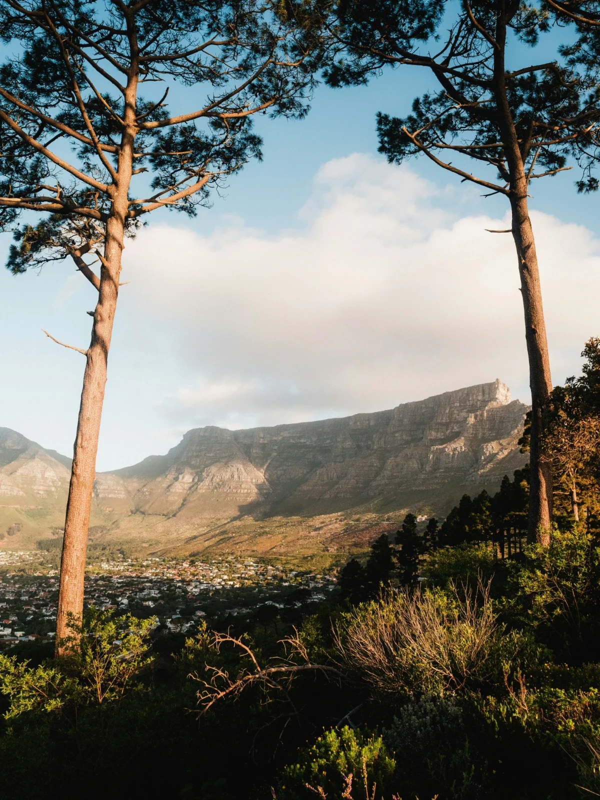 Steep rocky cliffs of Table Mountain with cable car lines disappearing into mist above the summit.