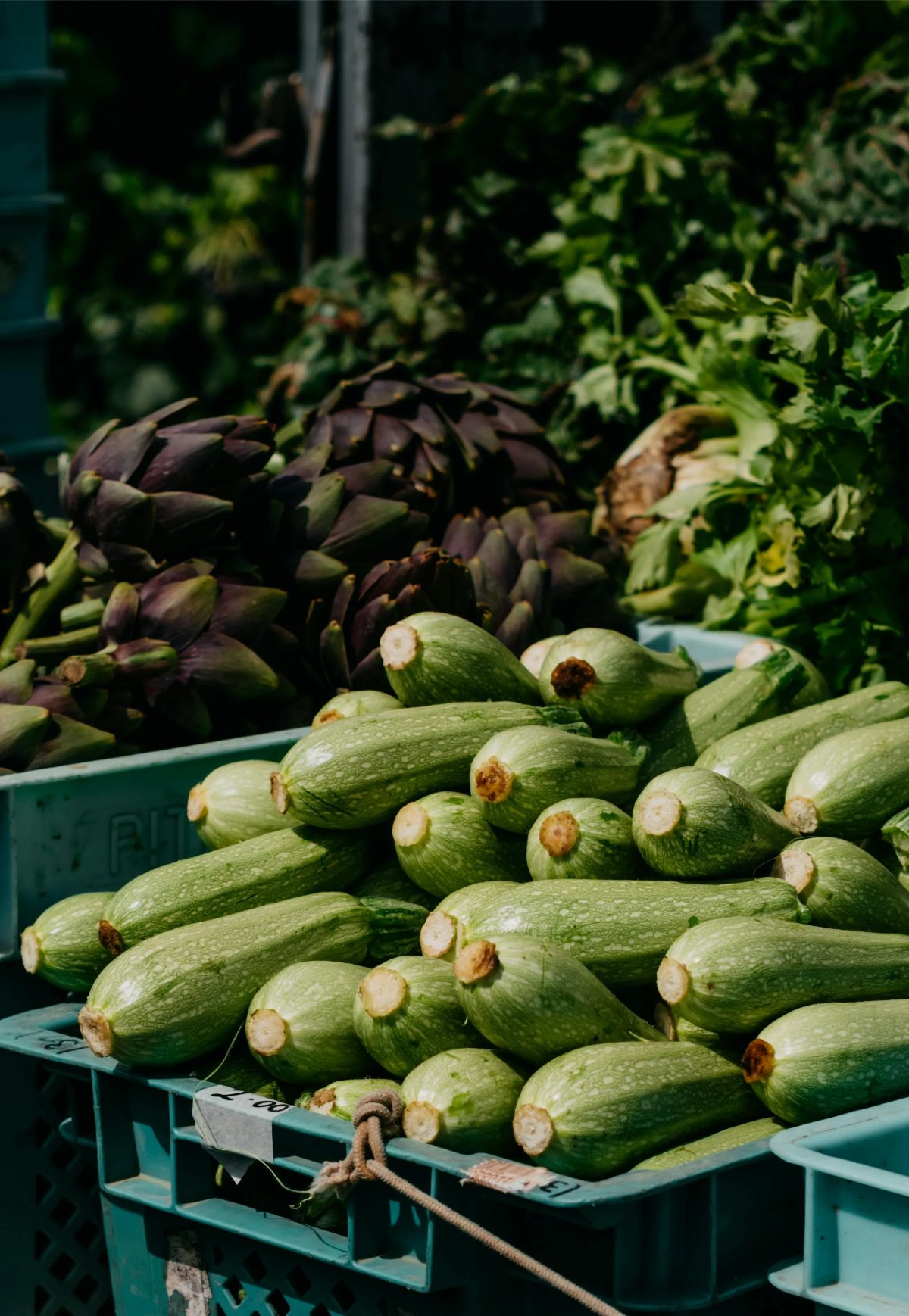 Pile of fresh zucchini and artichokes surrounded by leafy greens at a local farmers market.