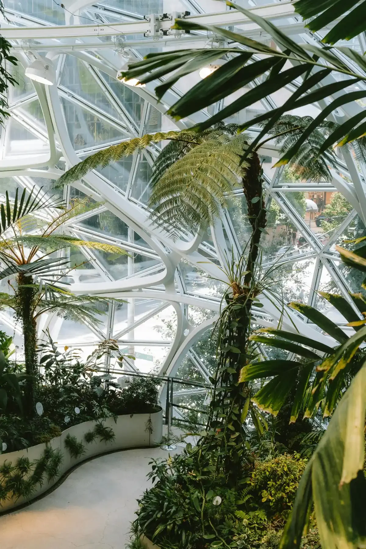 Lush indoor tropical garden inside the glass-and-steel Amazon Spheres biodome in Seattle, with ferns and palms under geometric domes.