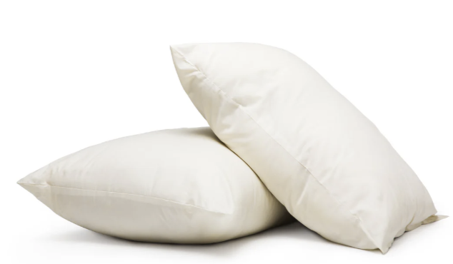 Frankenmuth Woolen Mill organic wool pillow in natural cotton shell.