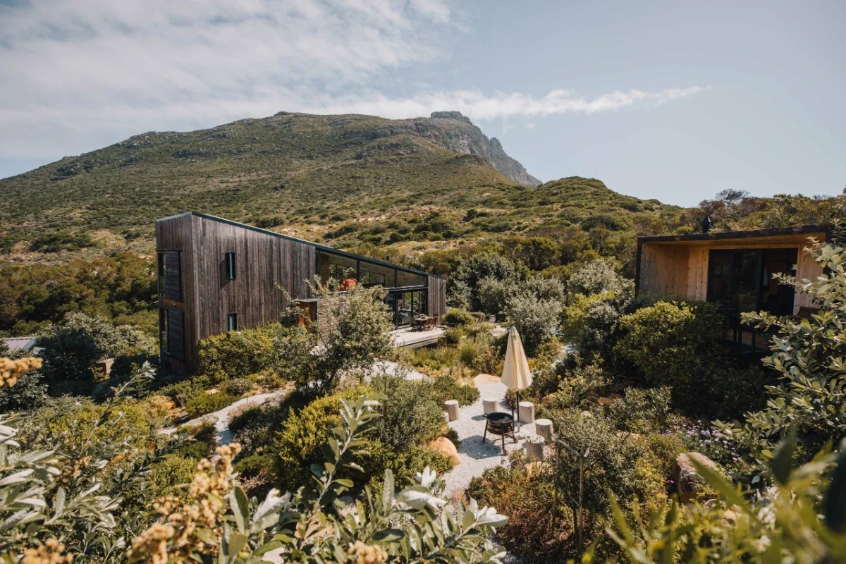 A-frame cabin at Cyphia Close above Hout Bay, surrounded by pine forest with elevated deck and expansive glass frontage.