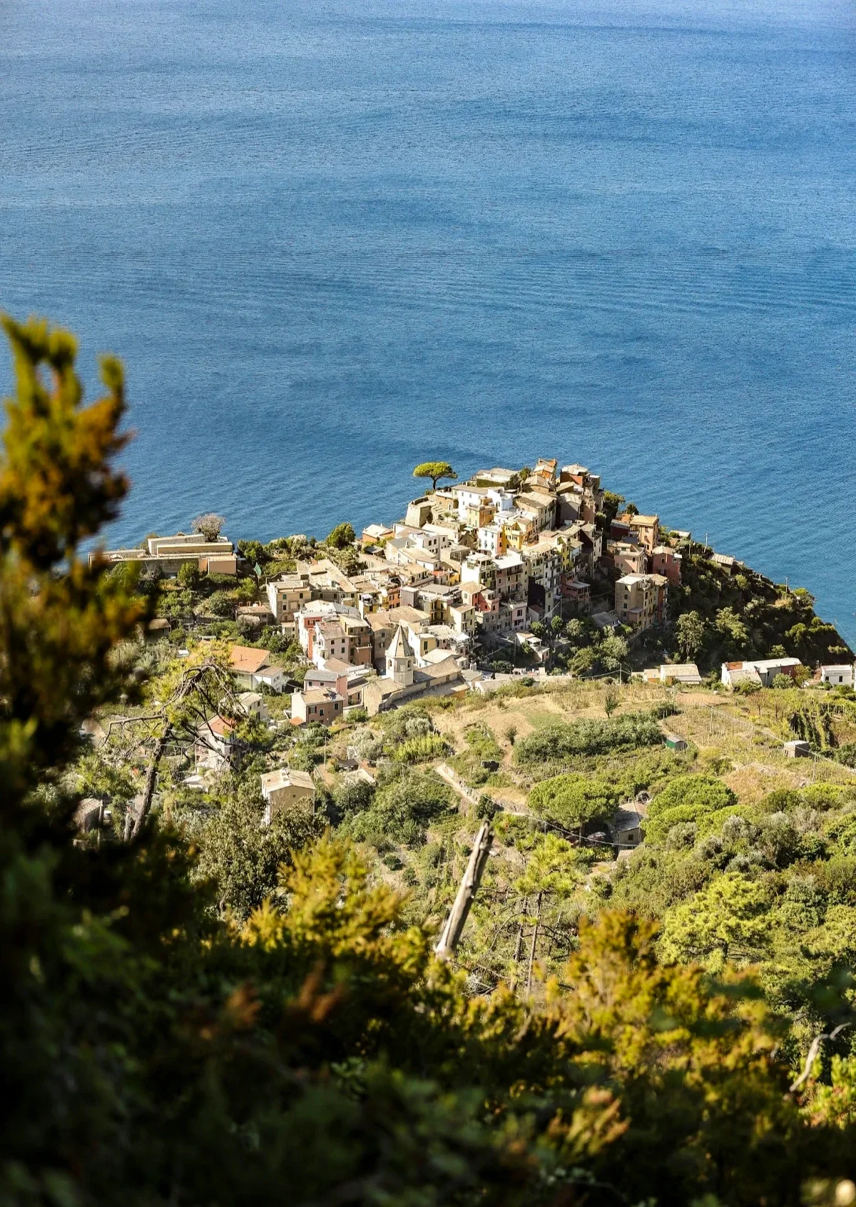  Cliff-top Corniglia village and terraced vineyards seen from above against the wide blue Ligurian Sea. 