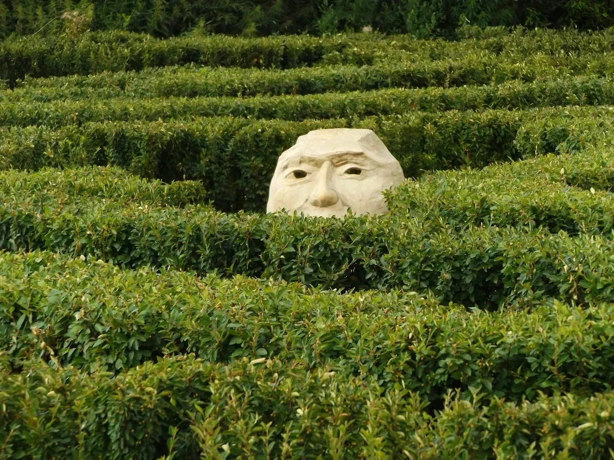 Stone face sculpture emerging from within lush green hedge maze, partially concealed by manicured foliage.