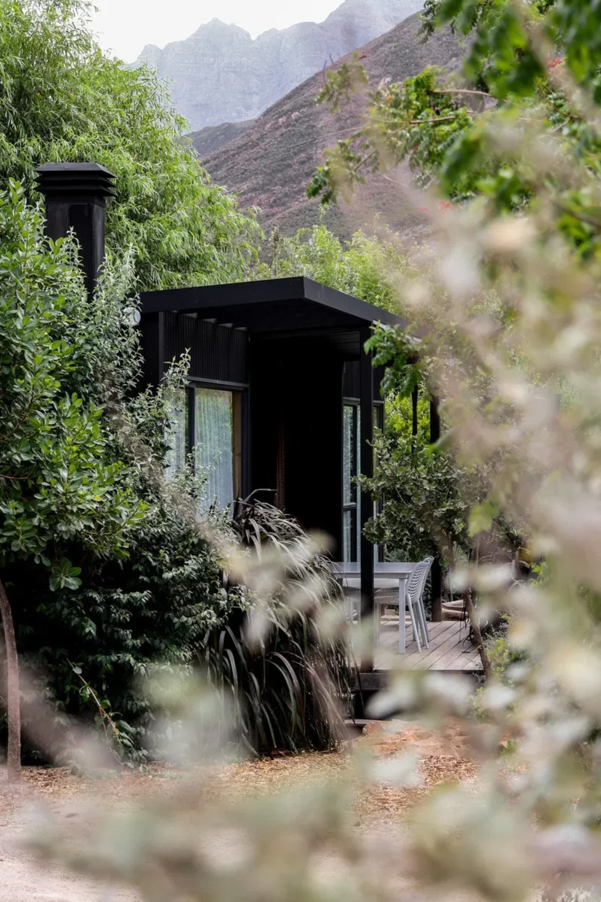 Glass-fronted house at Trouthaven Mayfly with high ceilings and light-filled interior facing natural surroundings.