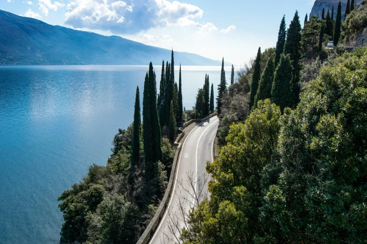  Curving lakeside road lined with tall cypress trees along sparkling Lake Garda with alpine ridges beyond. 