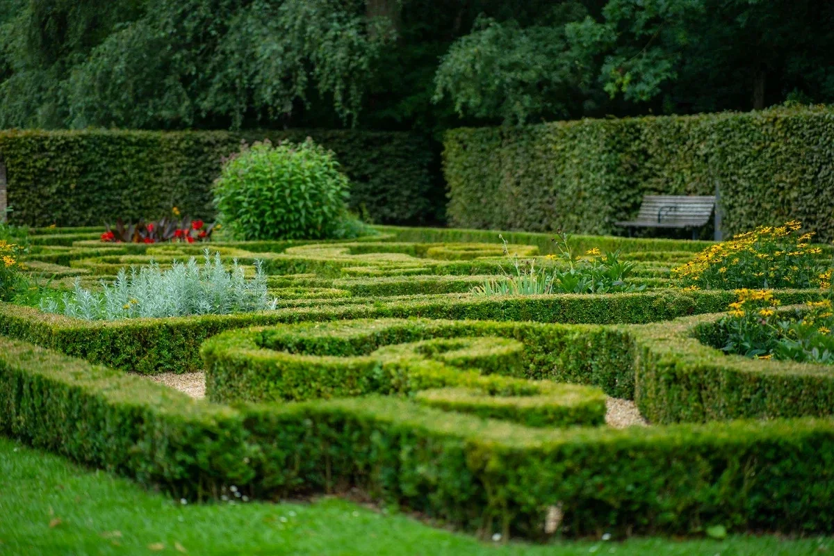 Decorative garden maze with trimmed hedges, flowering plants, and pathways arranged in intricate patterns.