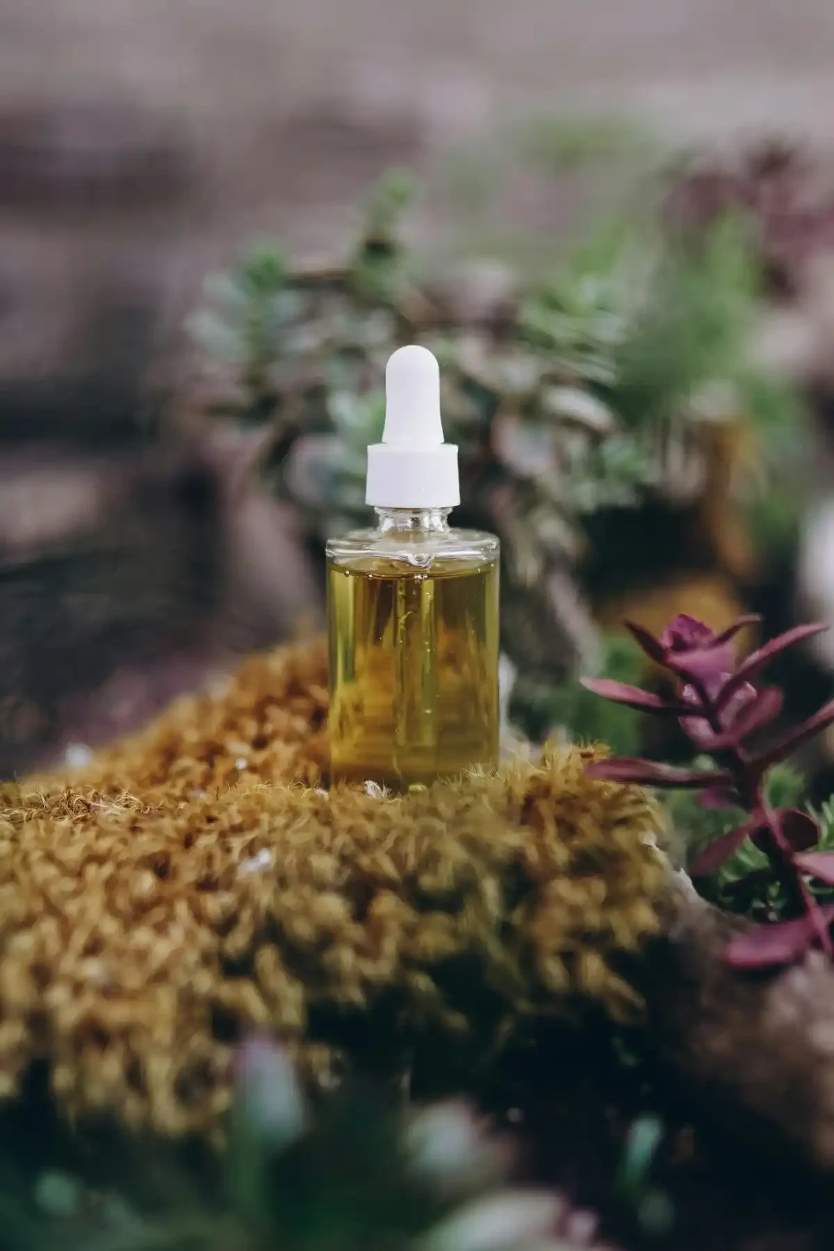 Glass dropper bottle of golden face oil resting on moss with blurred succulents in background.