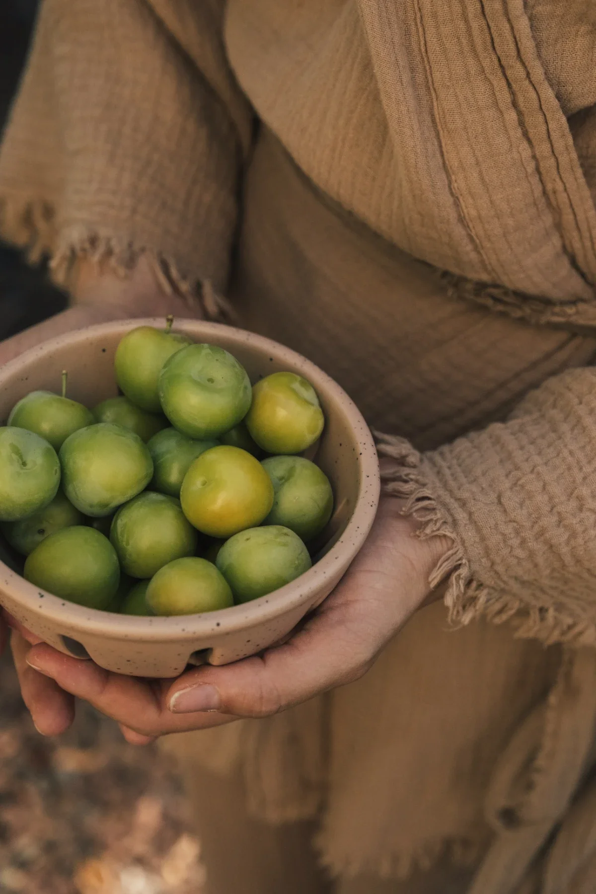 Hands in textured linen hold a speckled ceramic colander brimming with fresh green plums.