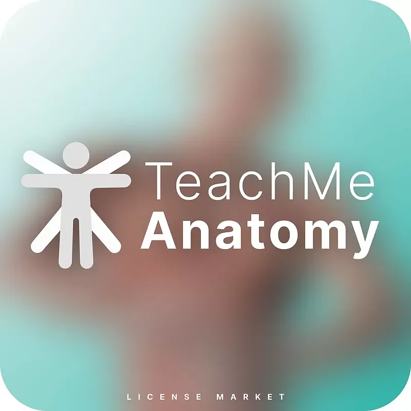 TeachMe Anatomy.webp