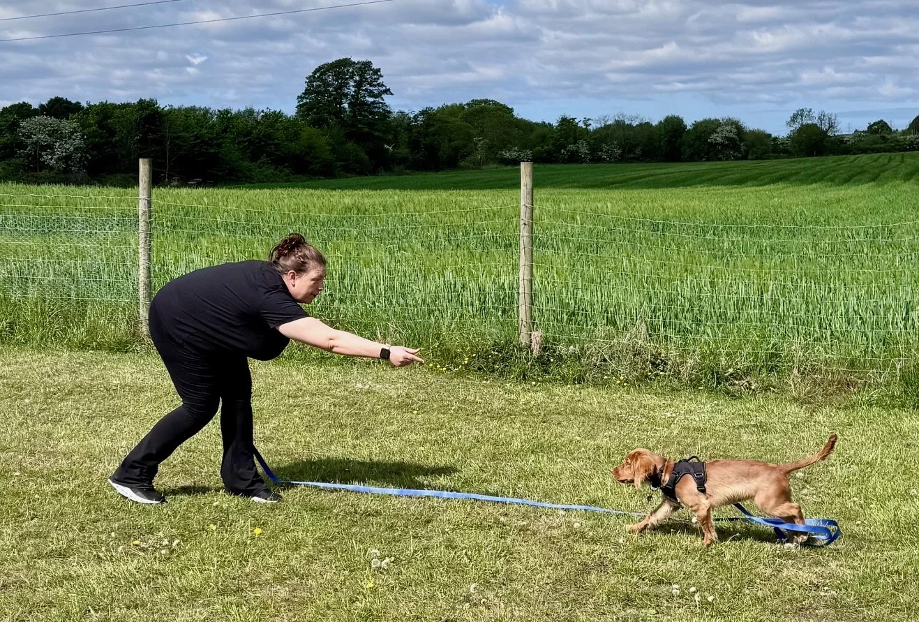 Recall Workshop For Complete Beginners