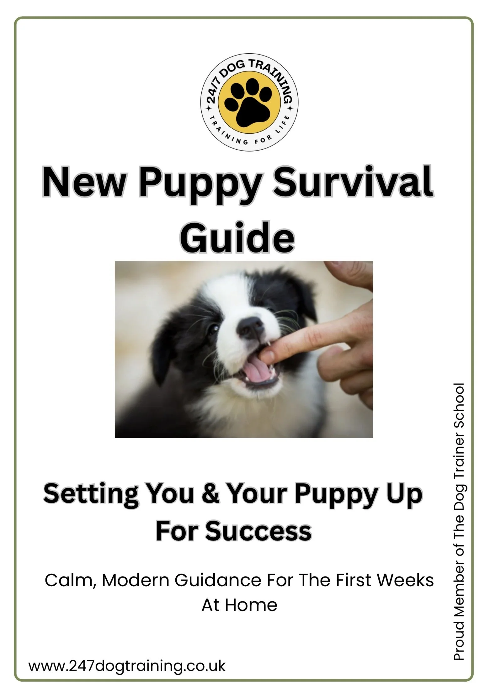 New Puppy Survival Guide