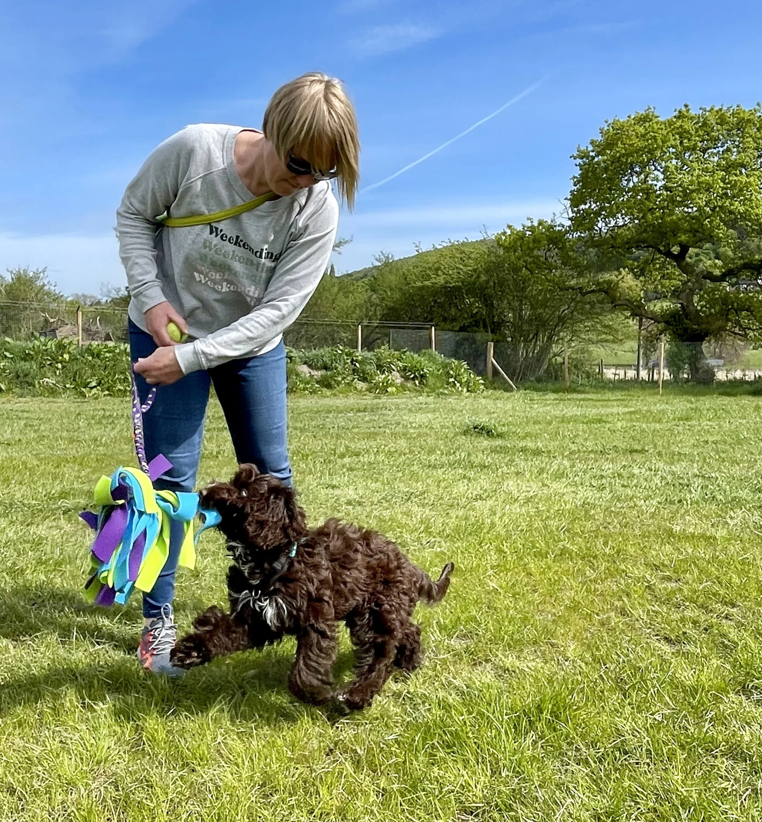 Woman playing fetch with a brown puppy in a green park on a sunny day.