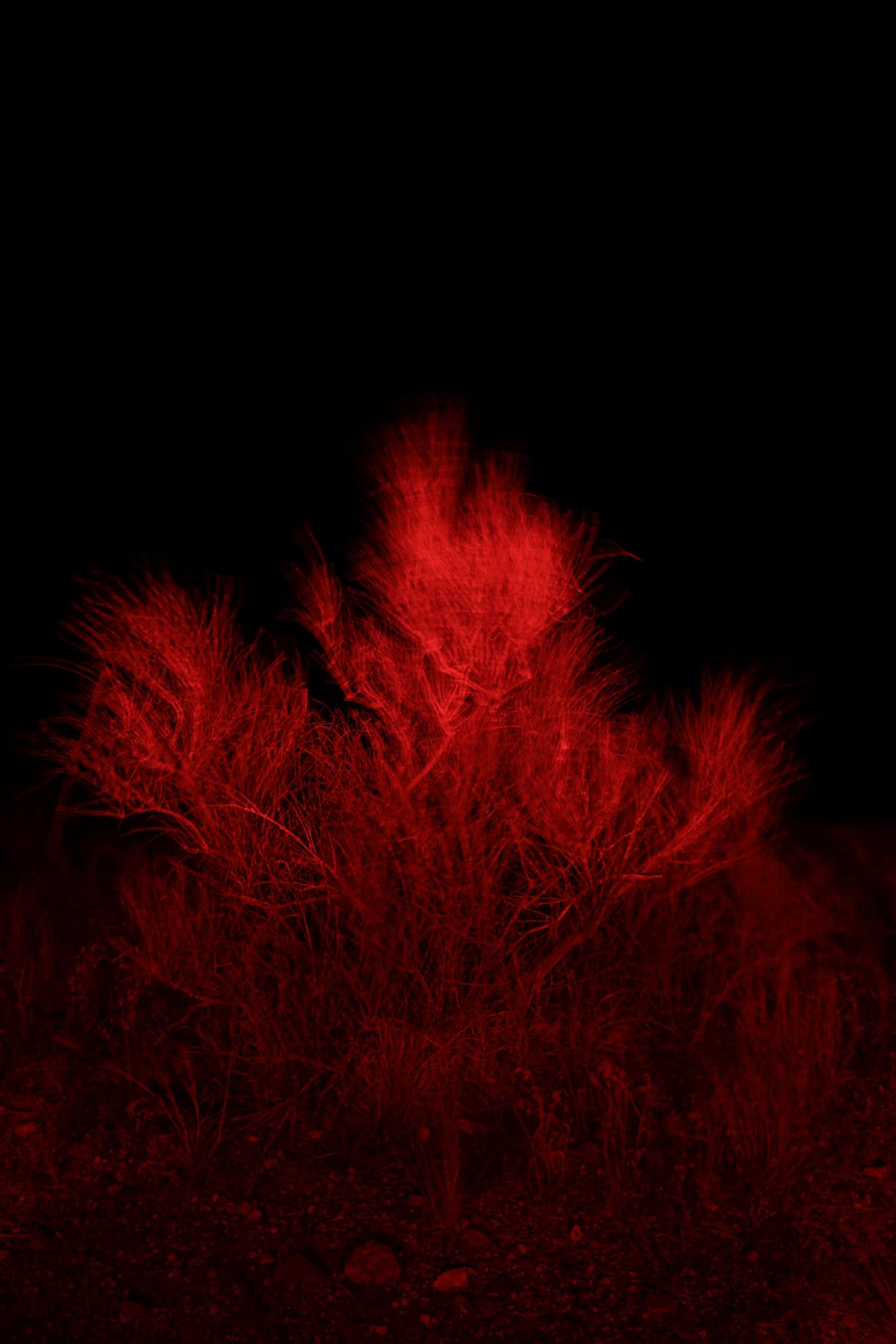 SignalVoid02 1800x1200 72dpi.jpg