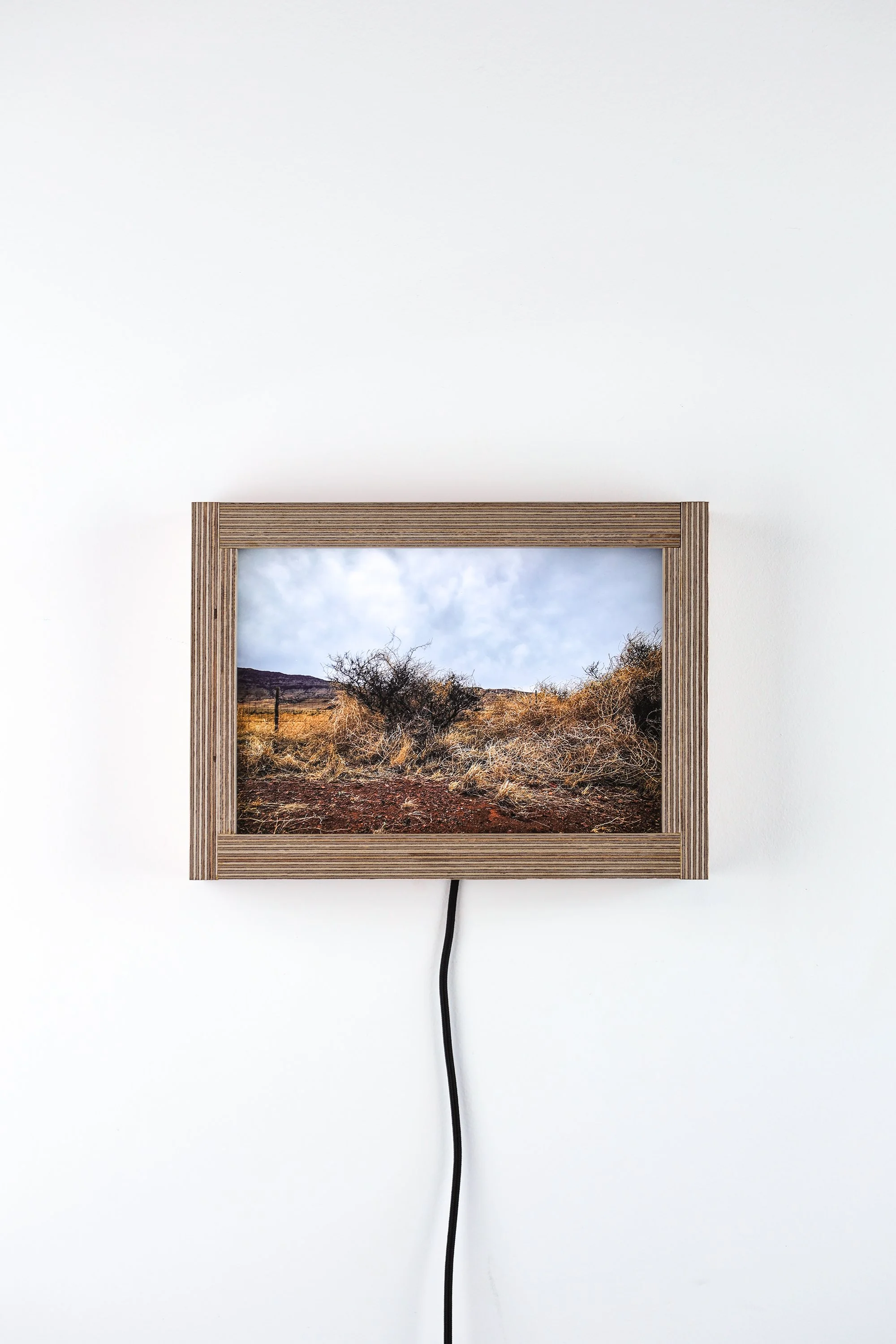 tumbleweeds01.jpg