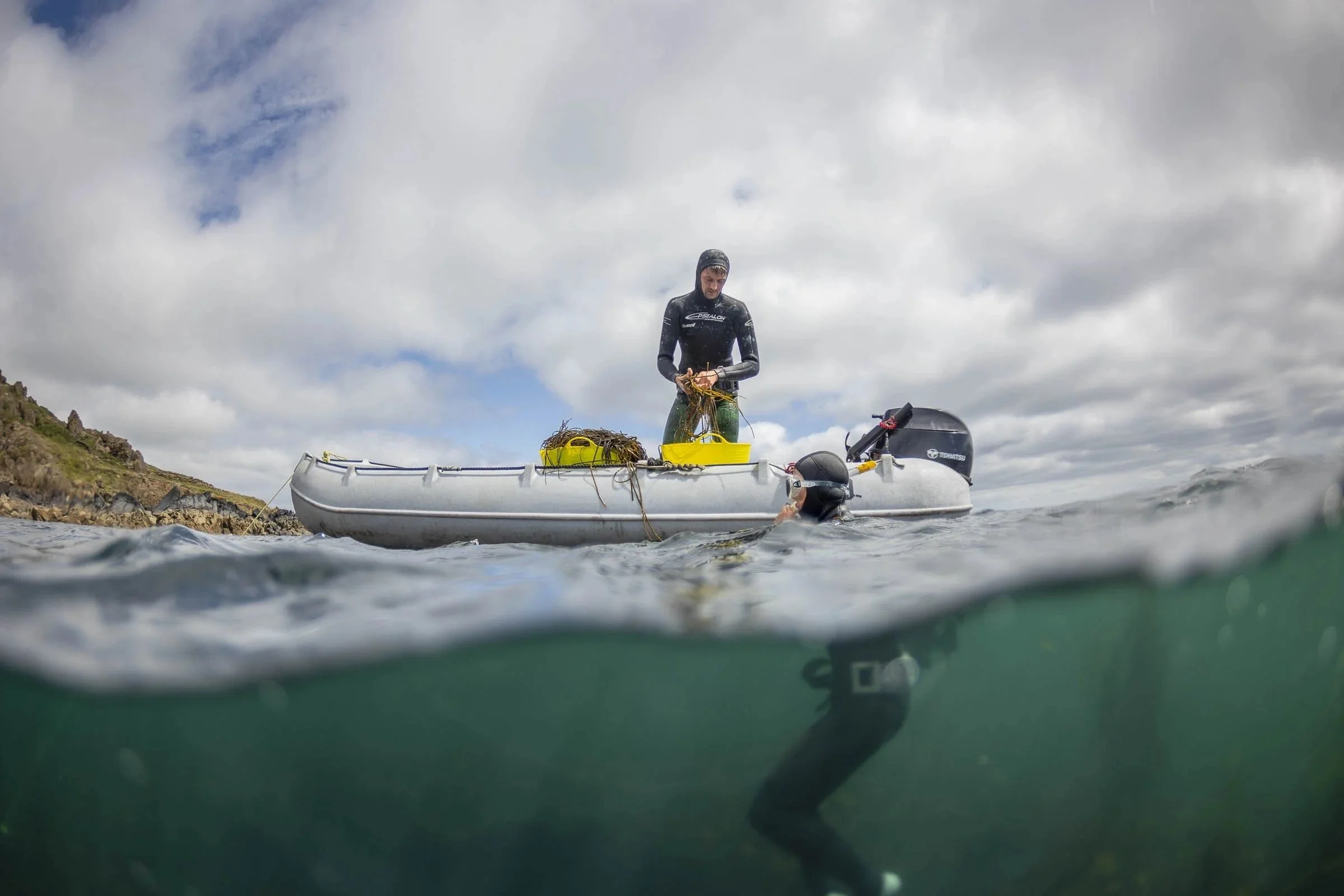 BRAD_WAKFIELD_CORNISH_SEAWEED_HARVEST_0011.jpeg